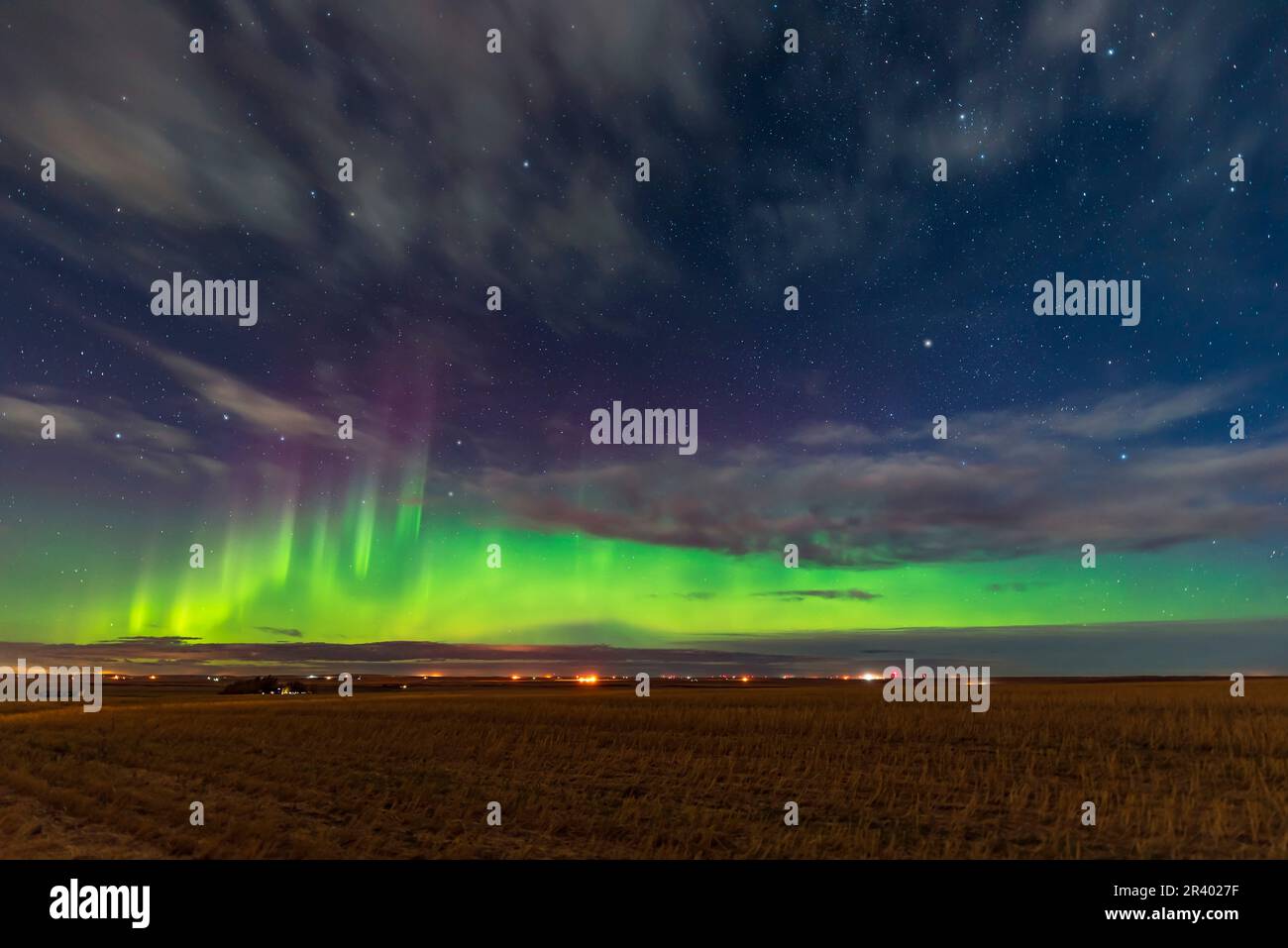 Nordlichter mit Big und Little Dippers Visible, Alberta, Kanada. Stockfoto