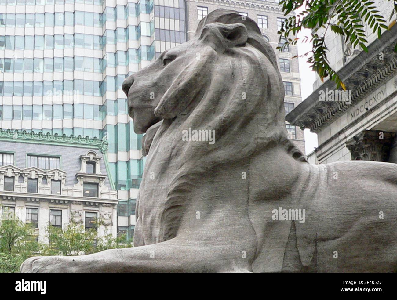 New York Public Library Lion Stockfoto