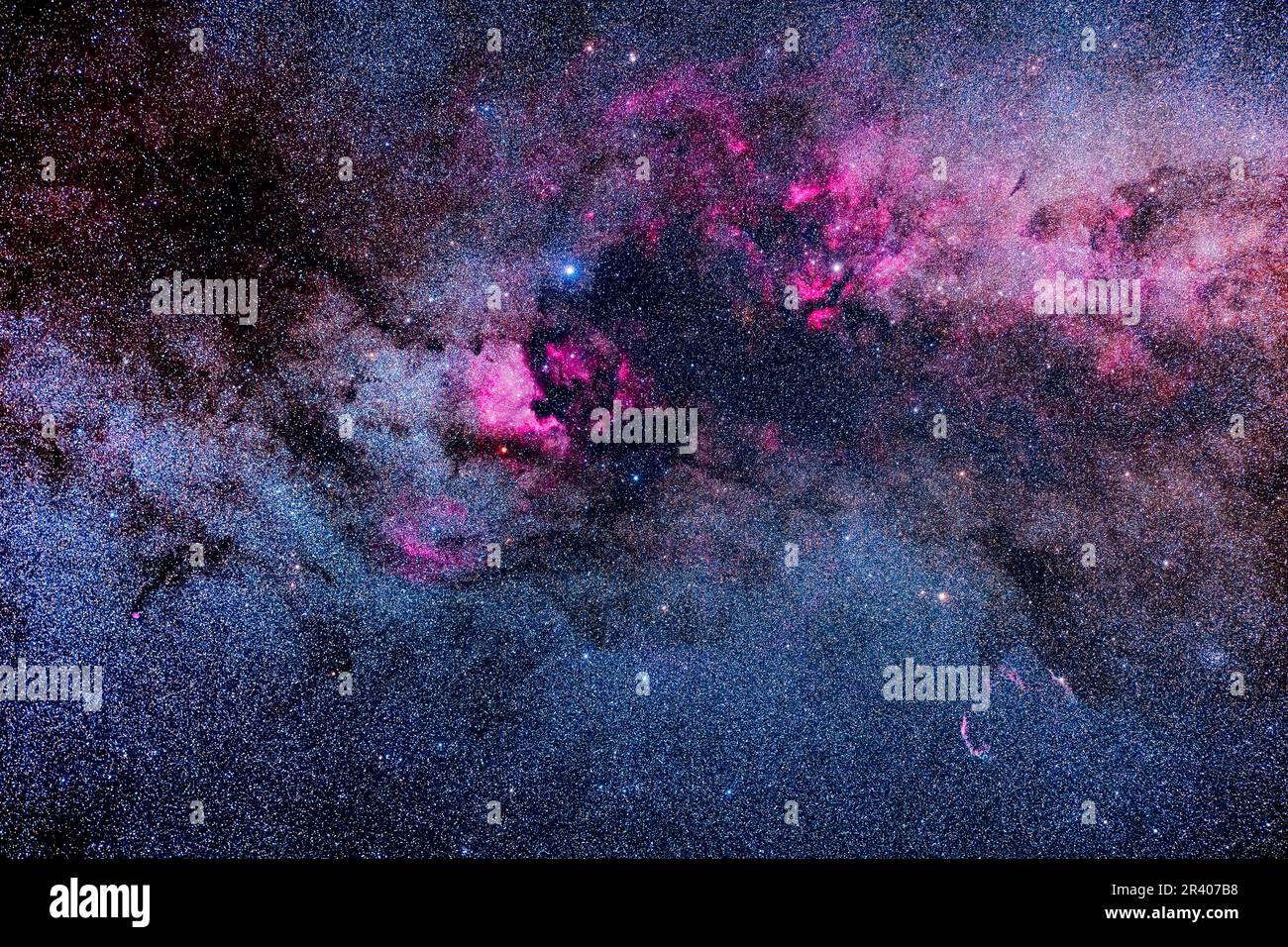 Sternenwolken und große Bereiche heller und dunkler Nebel in Cygnus. Stockfoto