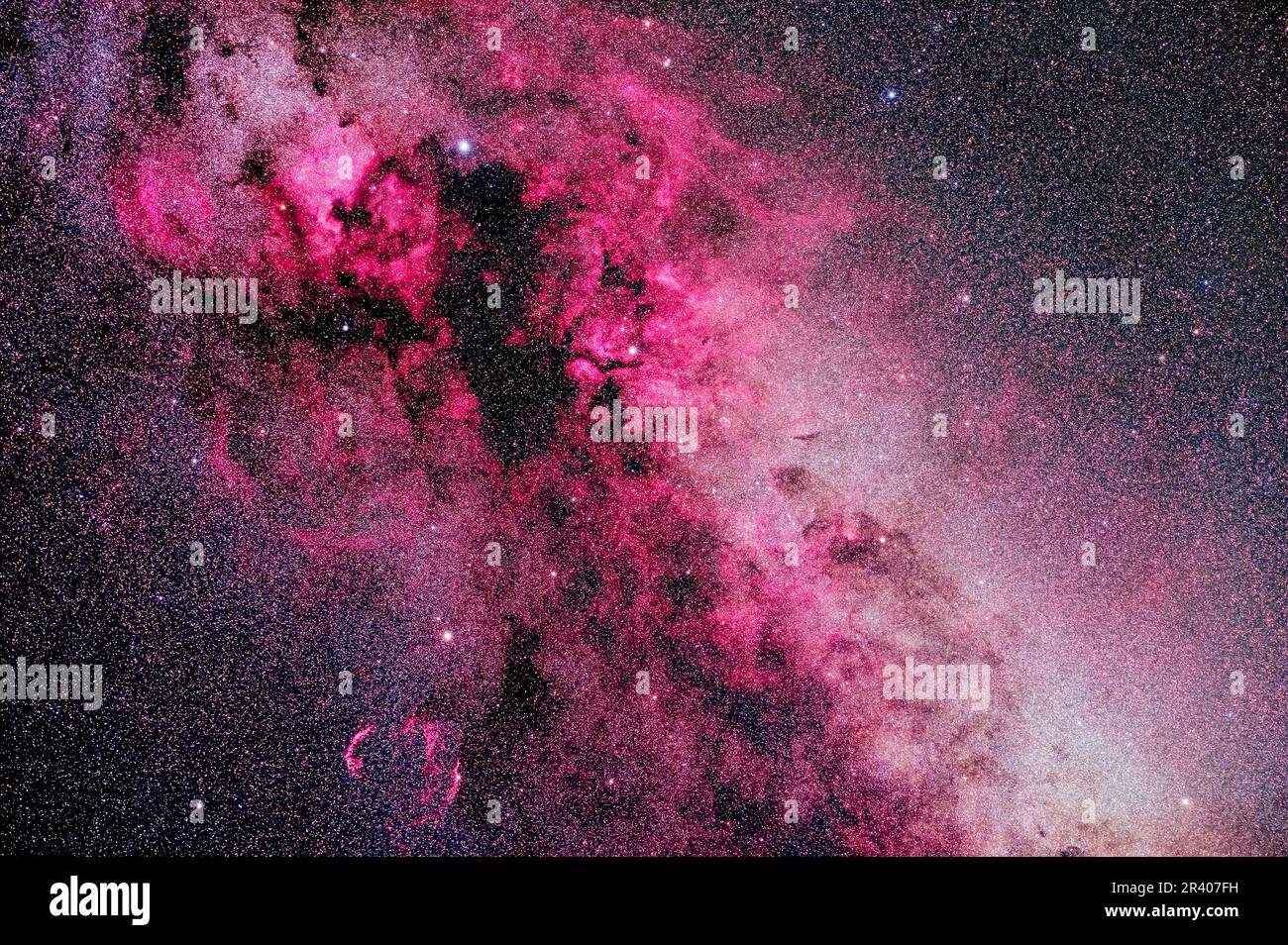 Der reiche Nebel-Komplex in und um die Konstellation Cygnus, mit Wasserstoff-alpha-Licht. Stockfoto