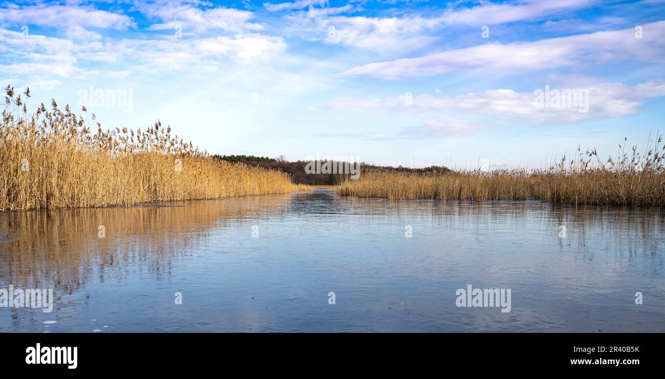 Winterstille in der Heide und Teichlandschaft von Oberlusatien nahe Klitten 2 Stockfoto