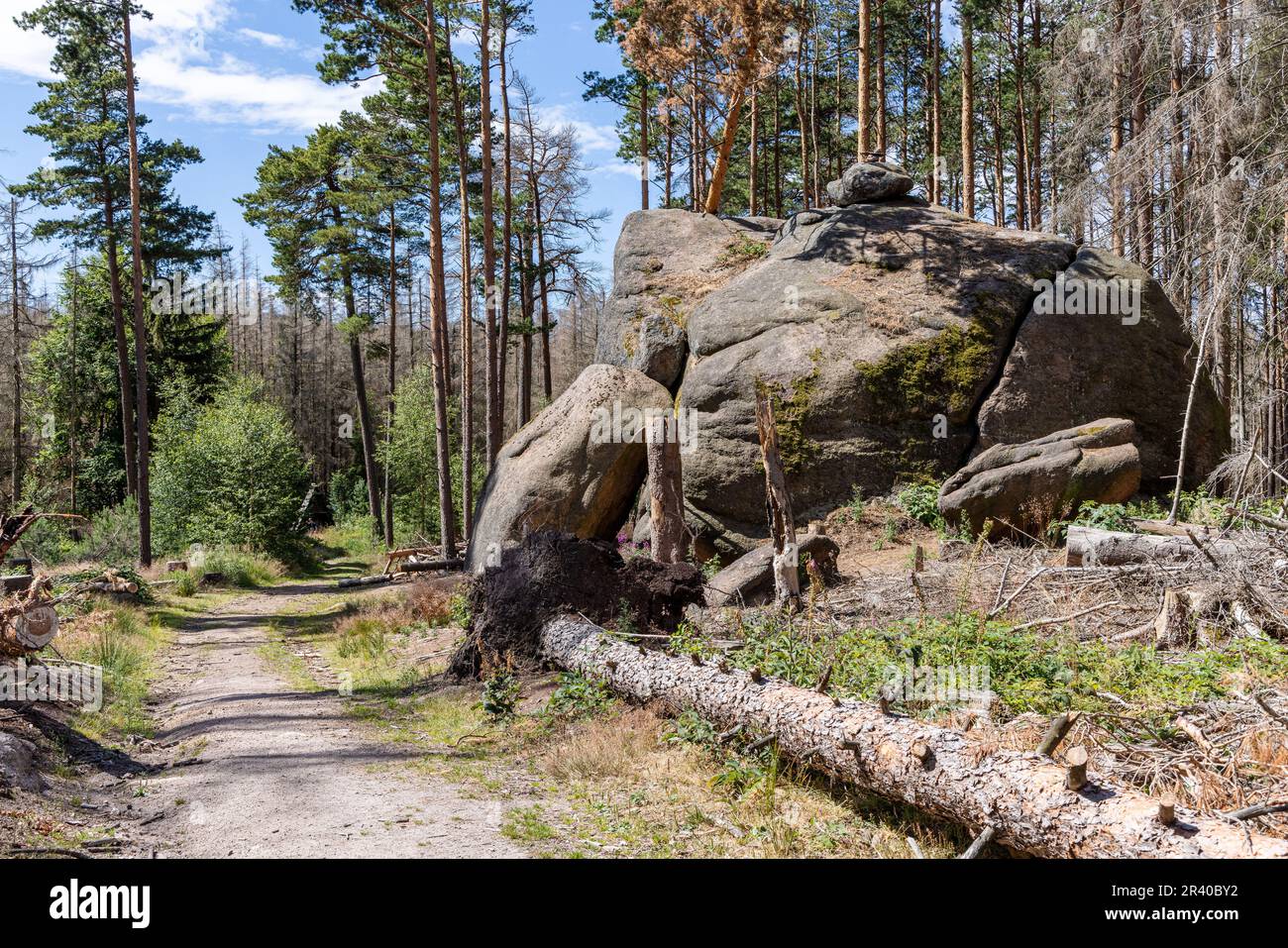 Eindrücke aus Ilsenburg Harz und Umgebung Stockfoto