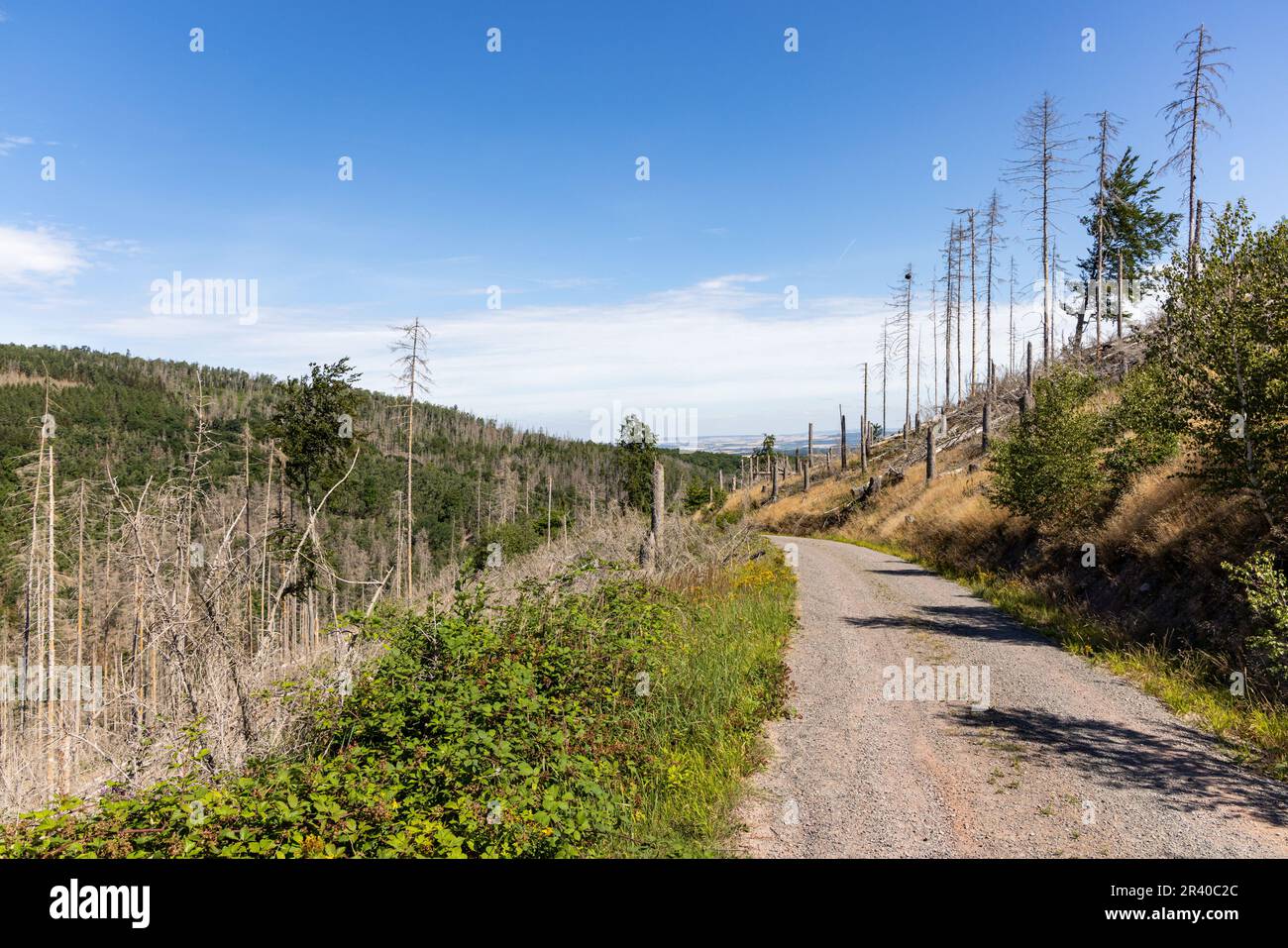 Eindrücke aus Ilsenburg Harz und Umgebung Stockfoto