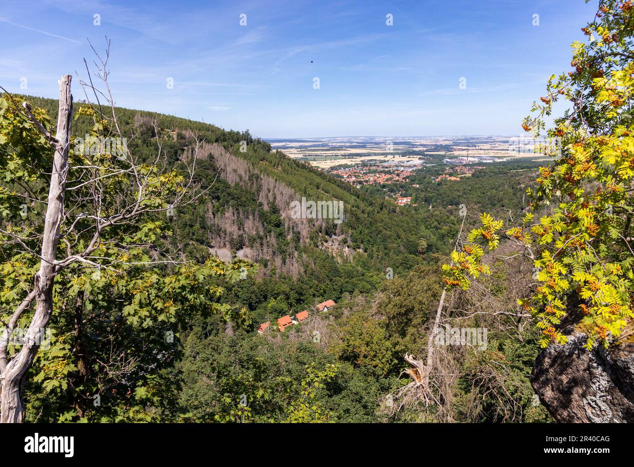 Eindrücke aus Ilsenburg Harz und Umgebung Stockfoto
