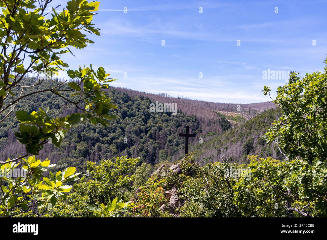 Eindrücke aus Ilsenburg Harz und Umgebung Stockfoto