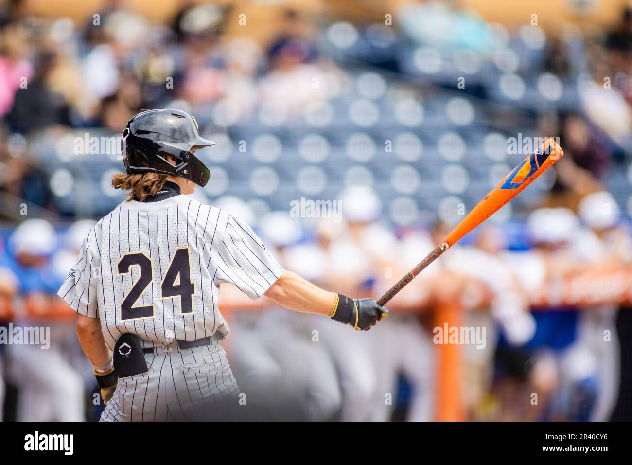 Durham, NC, USA. 25. Mai 2023. Beim ersten Inning gegen die Pittsburgh Panthers im ACC Baseball Tournament 2023 im Durham Bulls Athletic Park in Durham, NC, weckte der Infielder Tommy Hawke (24) der Forest Demon Deacons beim ersten Kampf gegen die Pittsburgh Panthers. (Scott Kinser/CSM). Kredit: csm/Alamy Live News Stockfoto