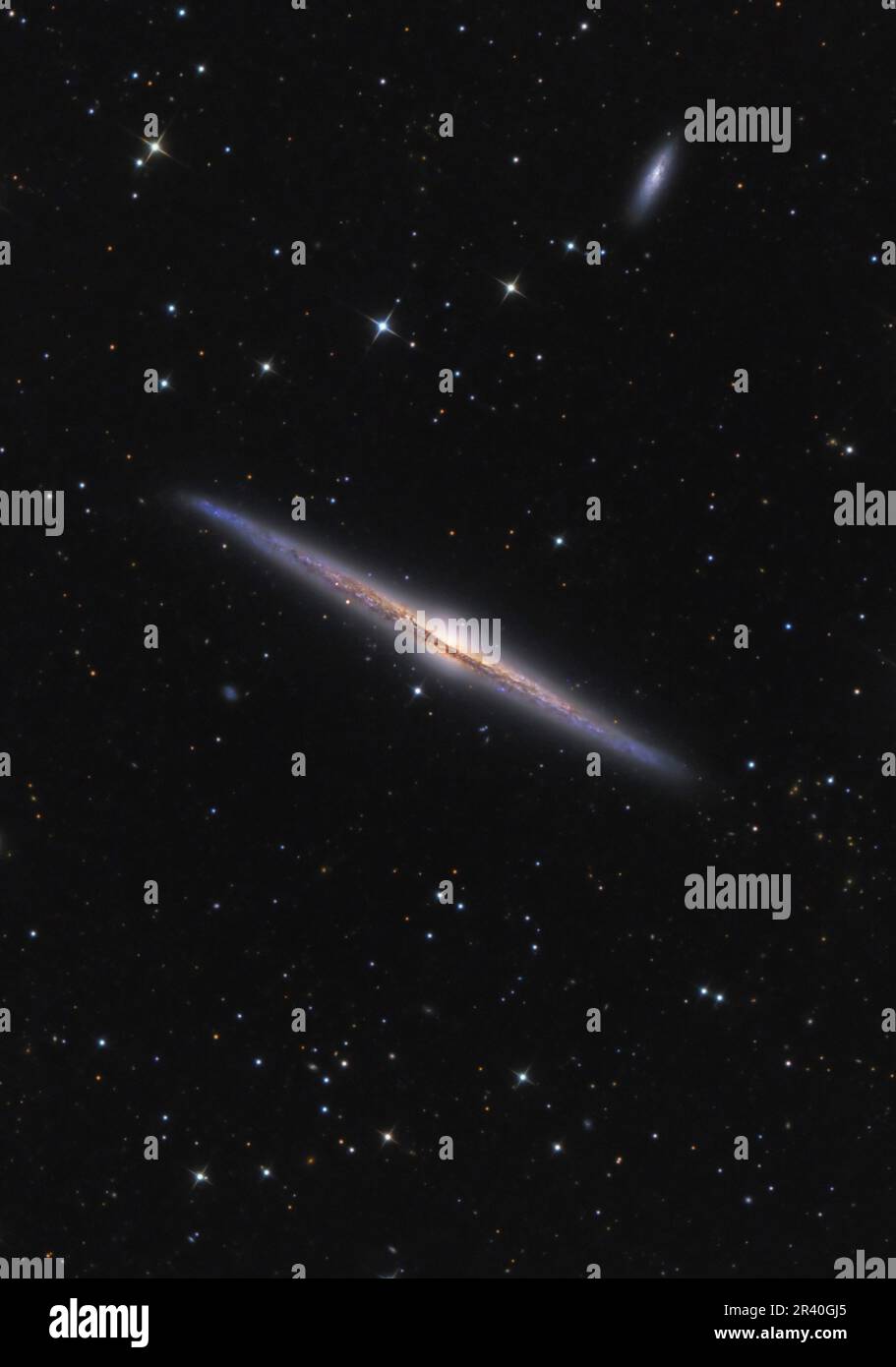 NGC 4565, die Needle Galaxy in Coma Berenices. Stockfoto