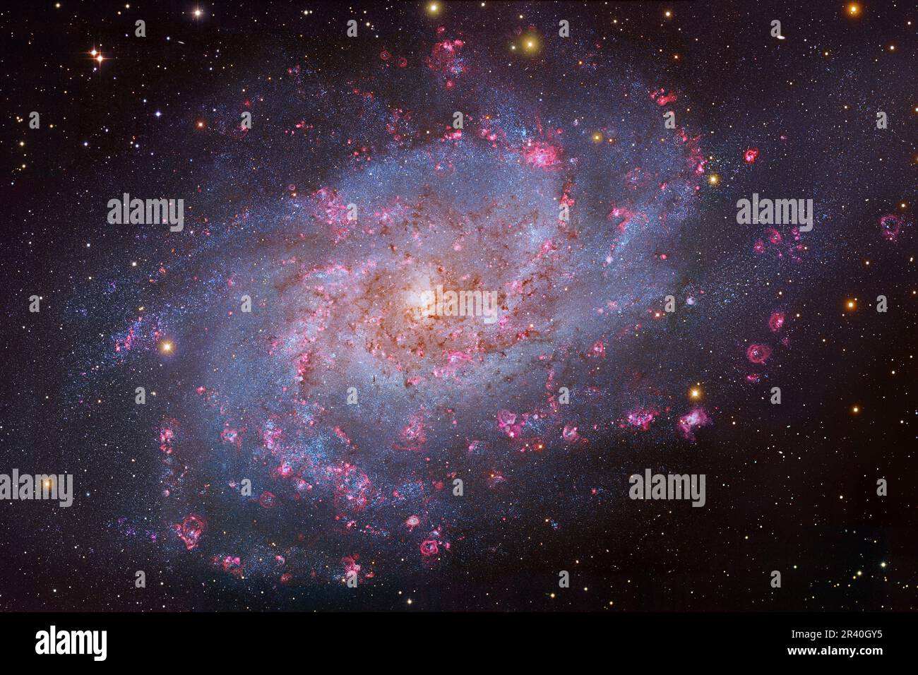 Die Triangulum-Galaxie, auch bekannt als Messier 33. Stockfoto