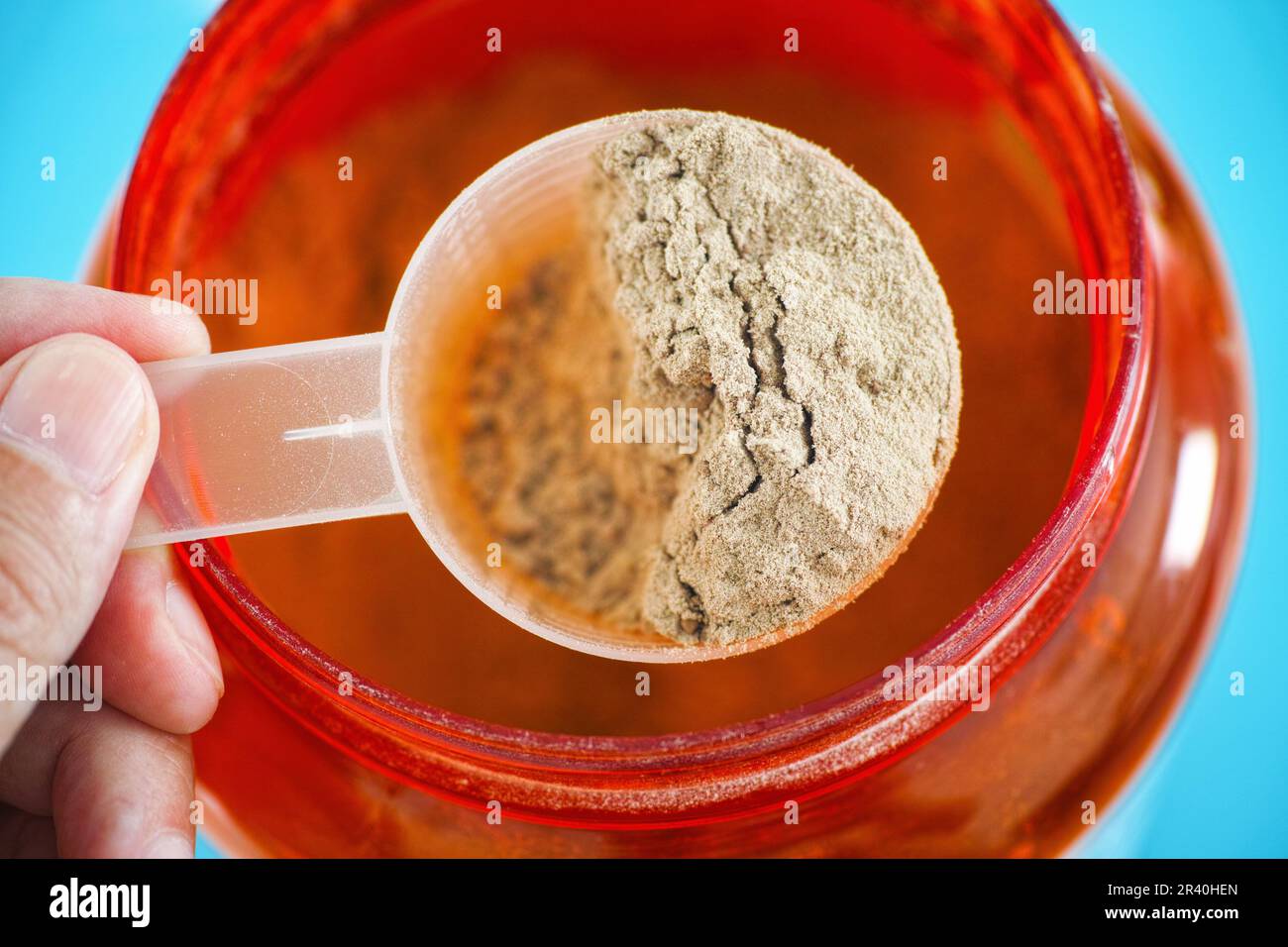 Ein Mann, der eine Portion eines organischen Schokoladenproteinpulvers in der Hand hat. Pflanzliches Rohprotein. Soja- und milchfrei. Schließen. Stockfoto