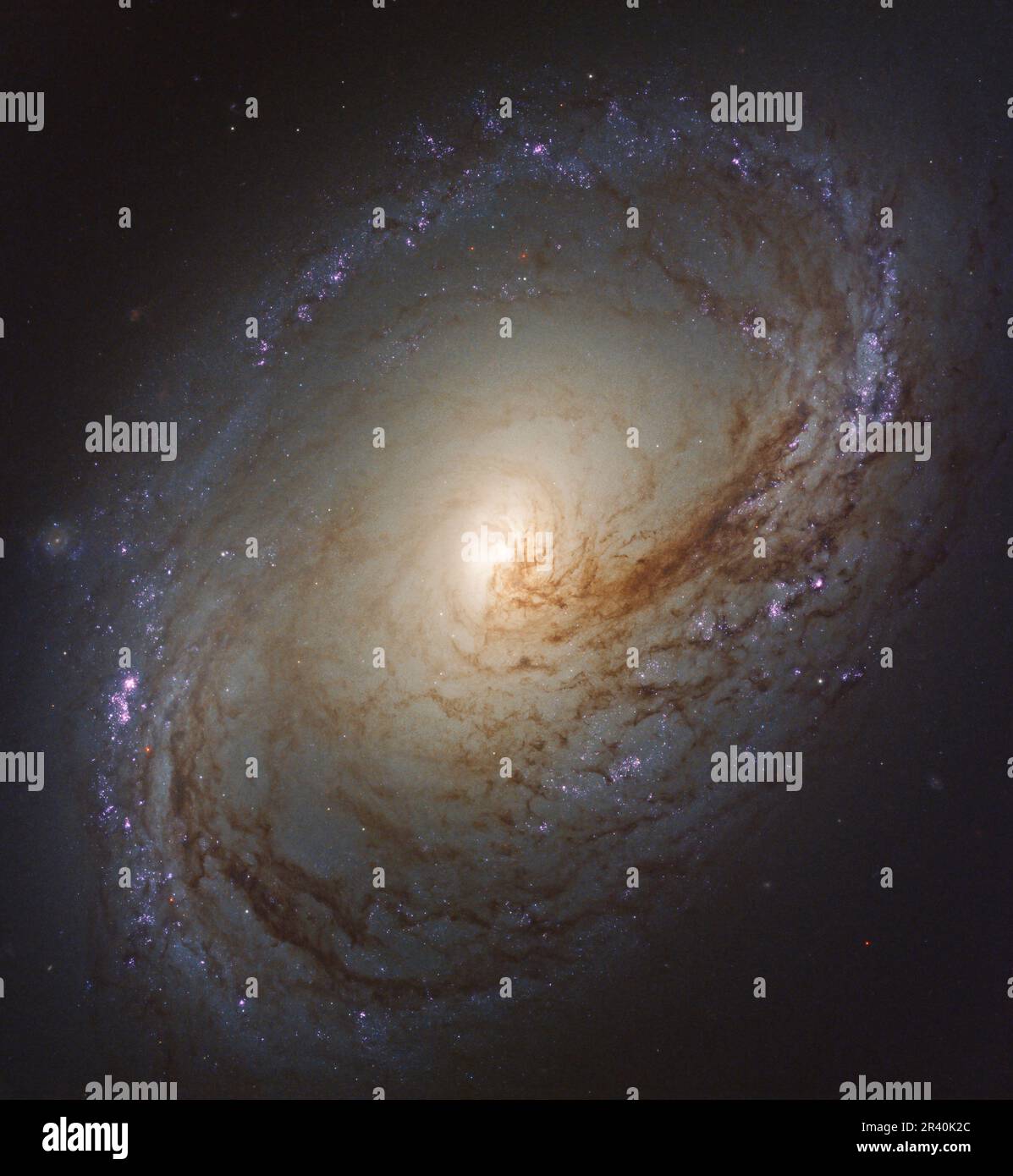 Verbotene Linsengalaxie NGC 3368, 50 Millionen Lichtjahre entfernt. Stockfoto