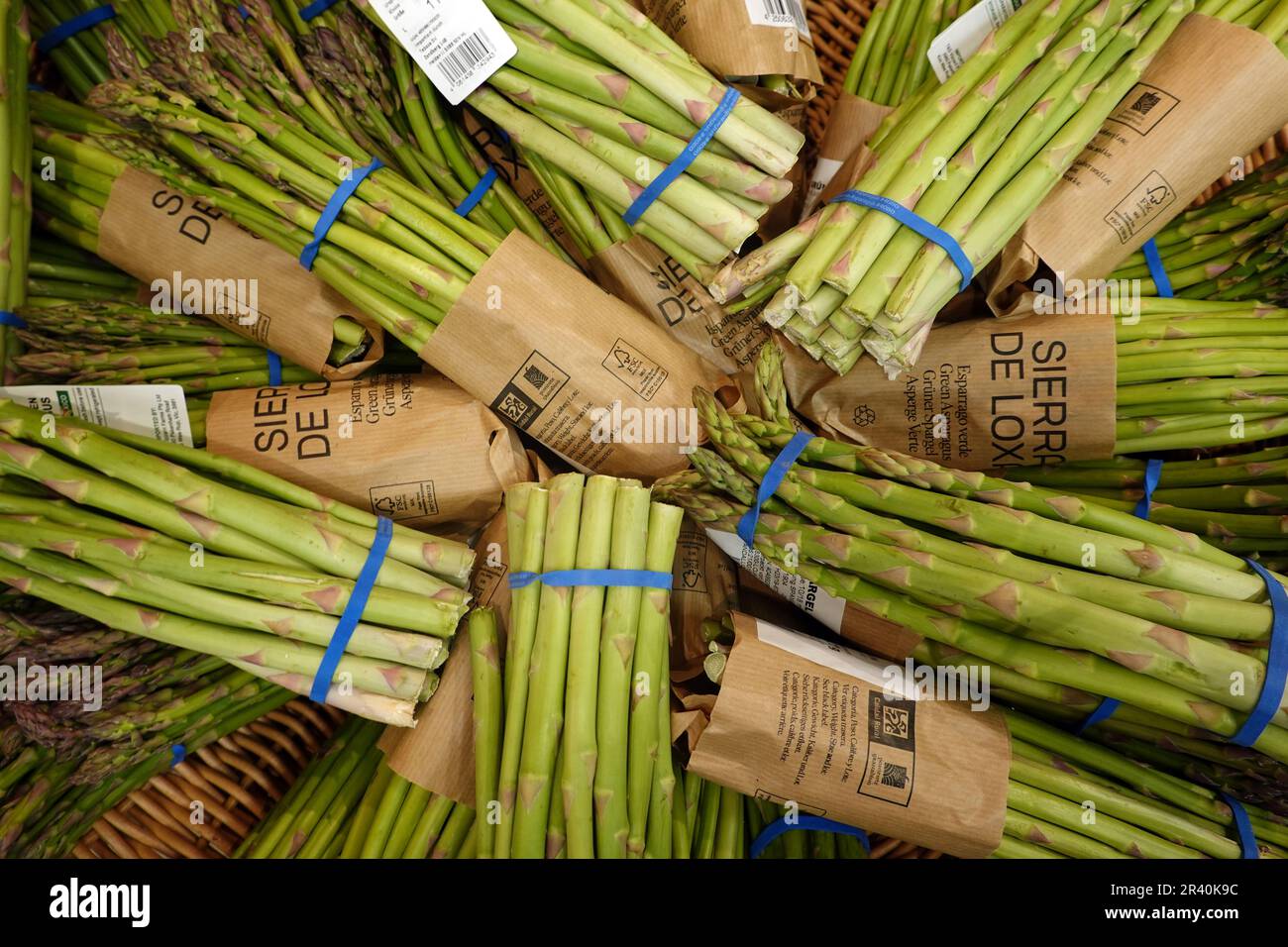 Importierter grüner Spargel im Lebensmittelgeschäft Stockfoto