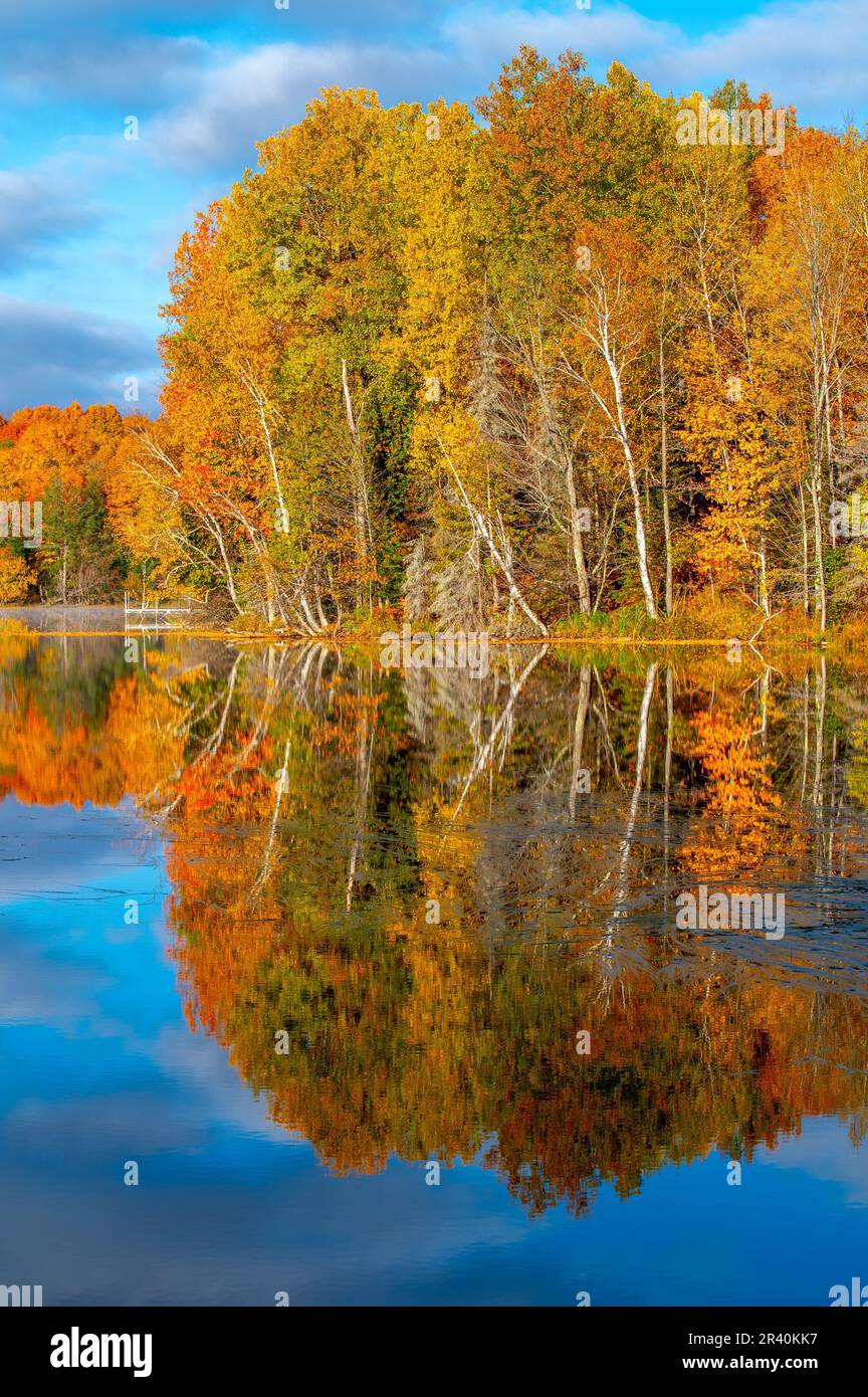 Wunderschöne Herbstfarben spiegeln sich im Wasser eines nördlichen Wisconsin-Sees mit einem frühen Morgennebel über dem Wasser wider. Stockfoto