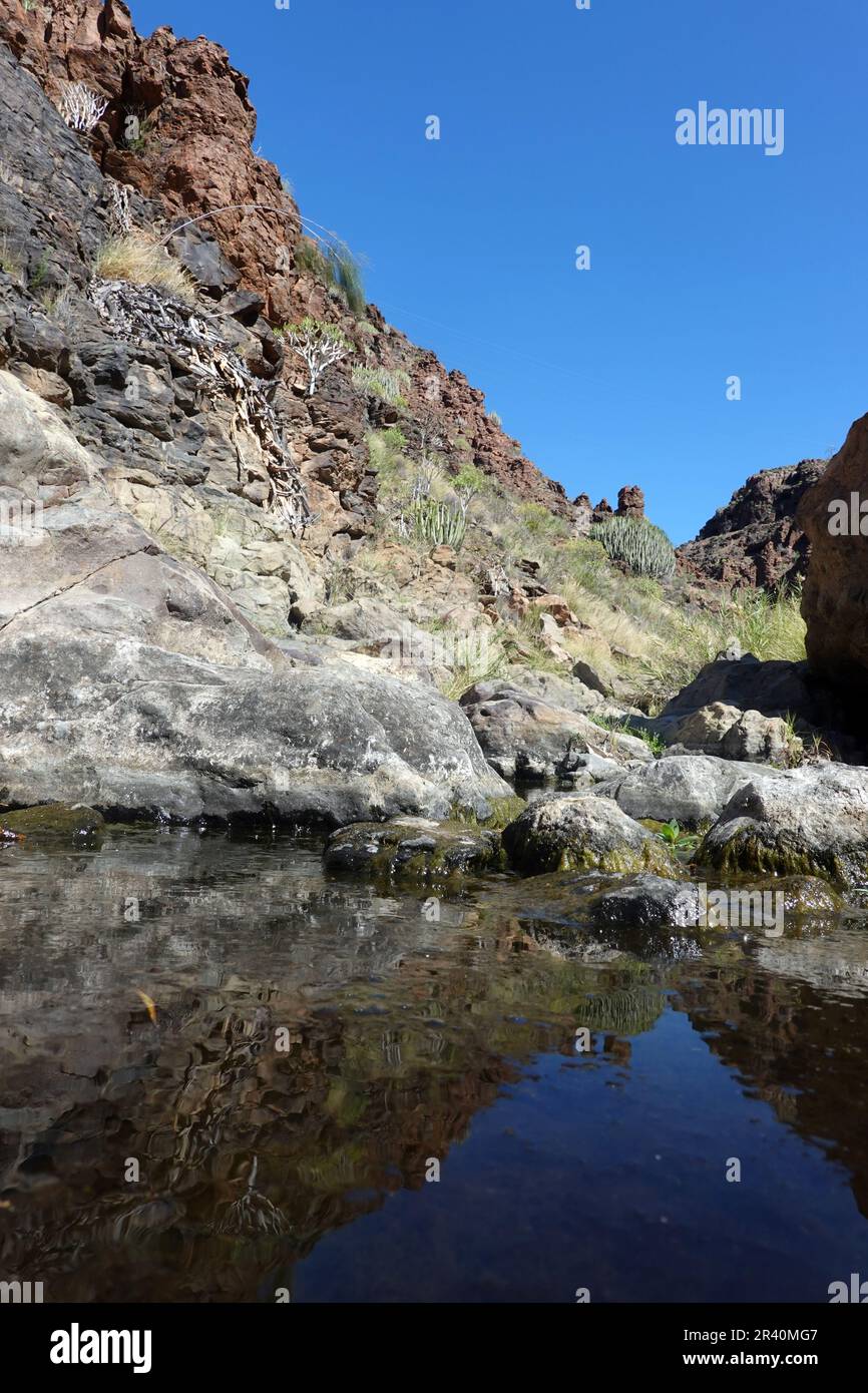 Teich in Barranco del Torro, nur vorübergehend mit Wasser gefüllt Stockfoto