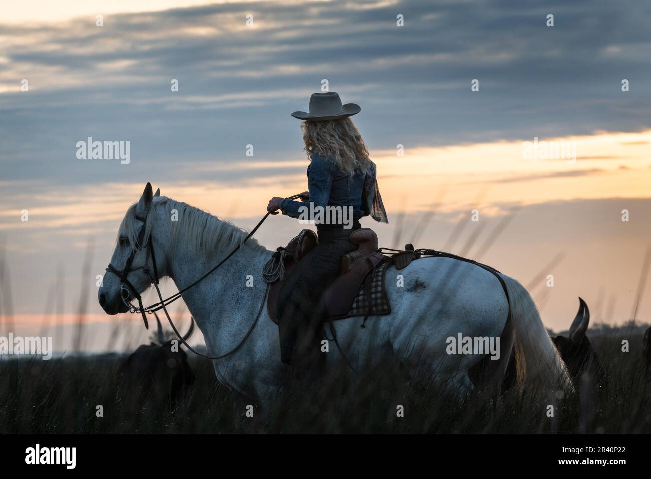 Cowboy mit einem langen Viehtreiber in der Nähe einer Herde Bullen, Camargue, Frankreich Stockfoto