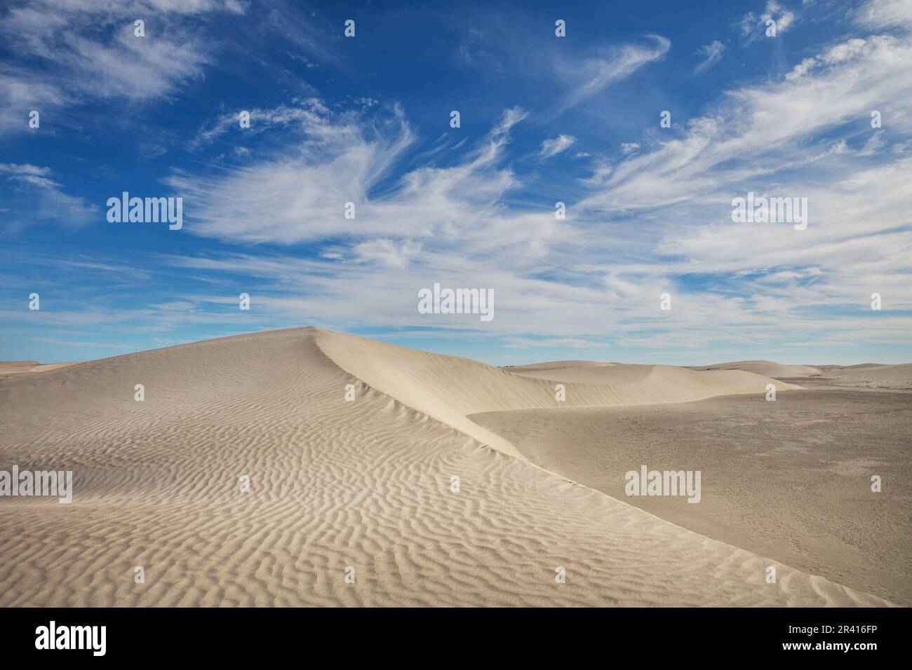 Sanddünen Stockfoto