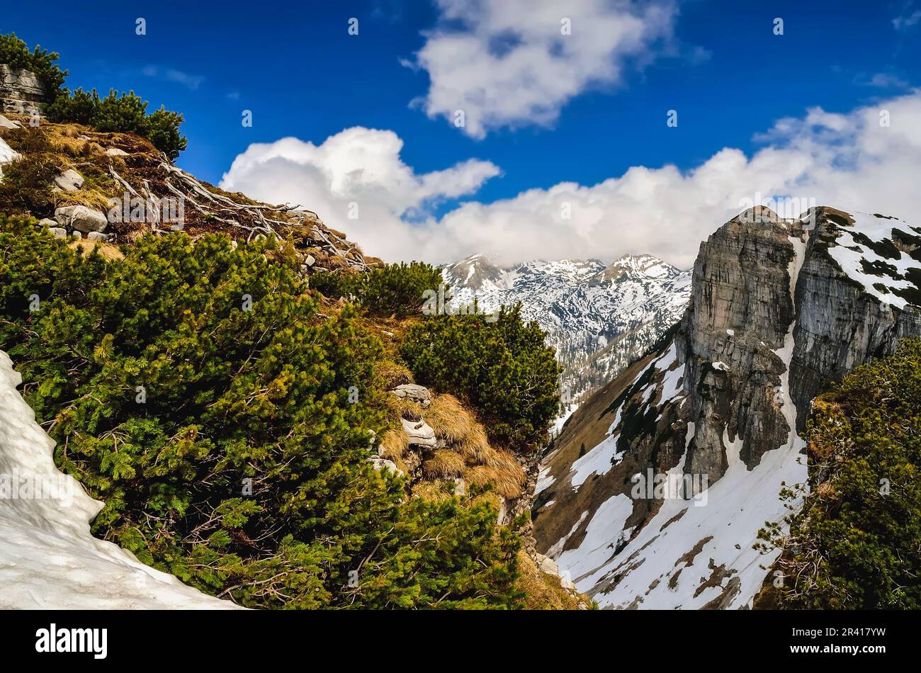 Berglandschaft in den österreichischen Alpen. Blick vom Loser Peak über Zwergkiefern, steile Felswände und schneebedeckte Gipfel, Dead Mountains (Totes Stockfoto