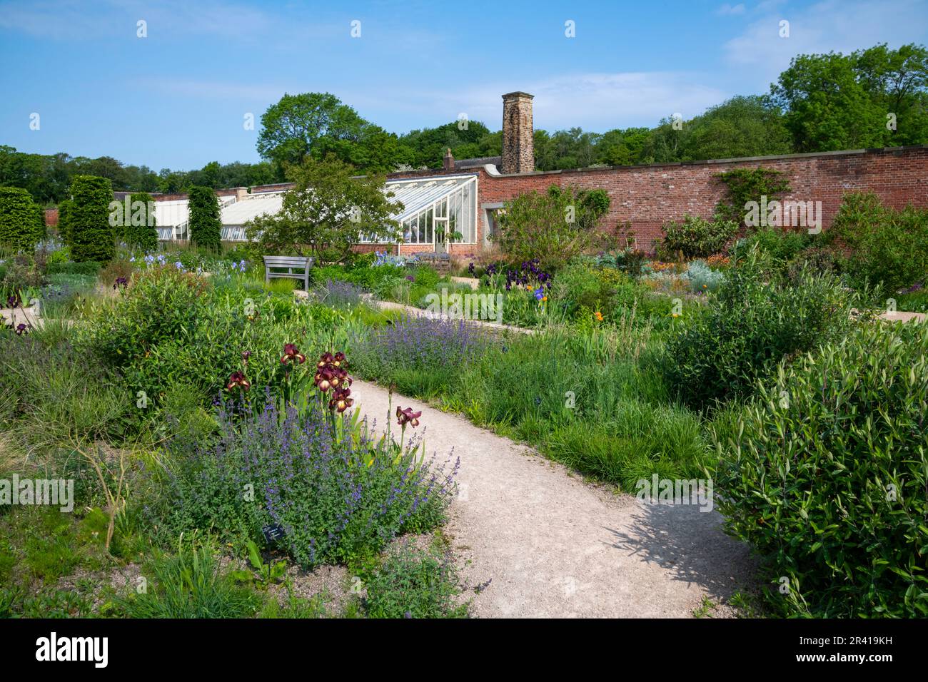 Frühsommer im Paradise Garden im RHS Bridgewater, Greater Manchester, England Stockfoto