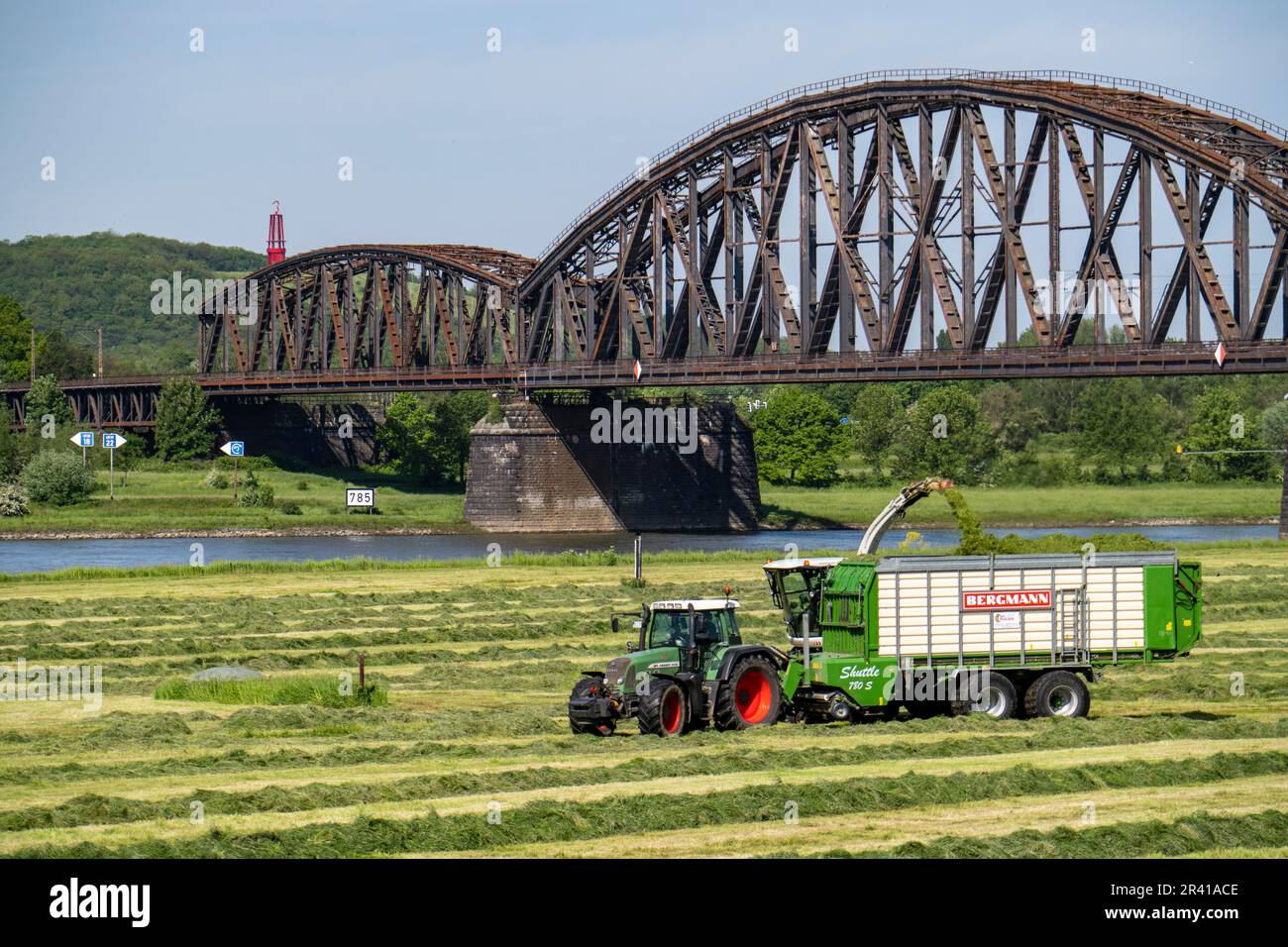 Heuernte, auf einer Rheinwiese in der Nähe der Duisburg-Beeckerwerth nimmt ein Feldhäcksler das geschnittene Gras auf, das sich nach dem Schneiden in Streifen angesammelt hat Stockfoto