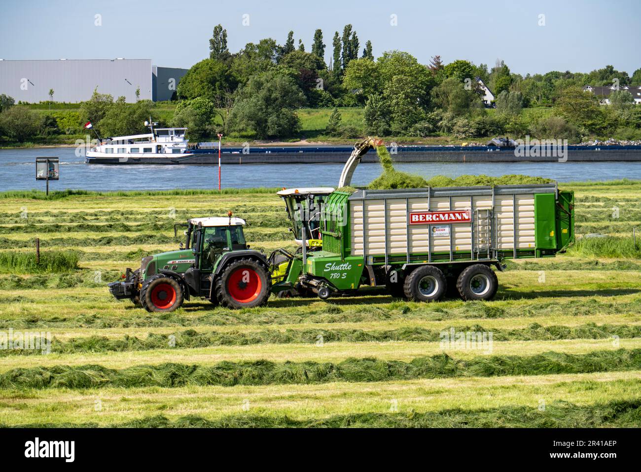 Heuernte, auf einer Rheinwiese in der Nähe der Duisburg-Beeckerwerth nimmt ein Feldhäcksler das geschnittene Gras auf, das sich nach dem Schneiden in Streifen angesammelt hat Stockfoto
