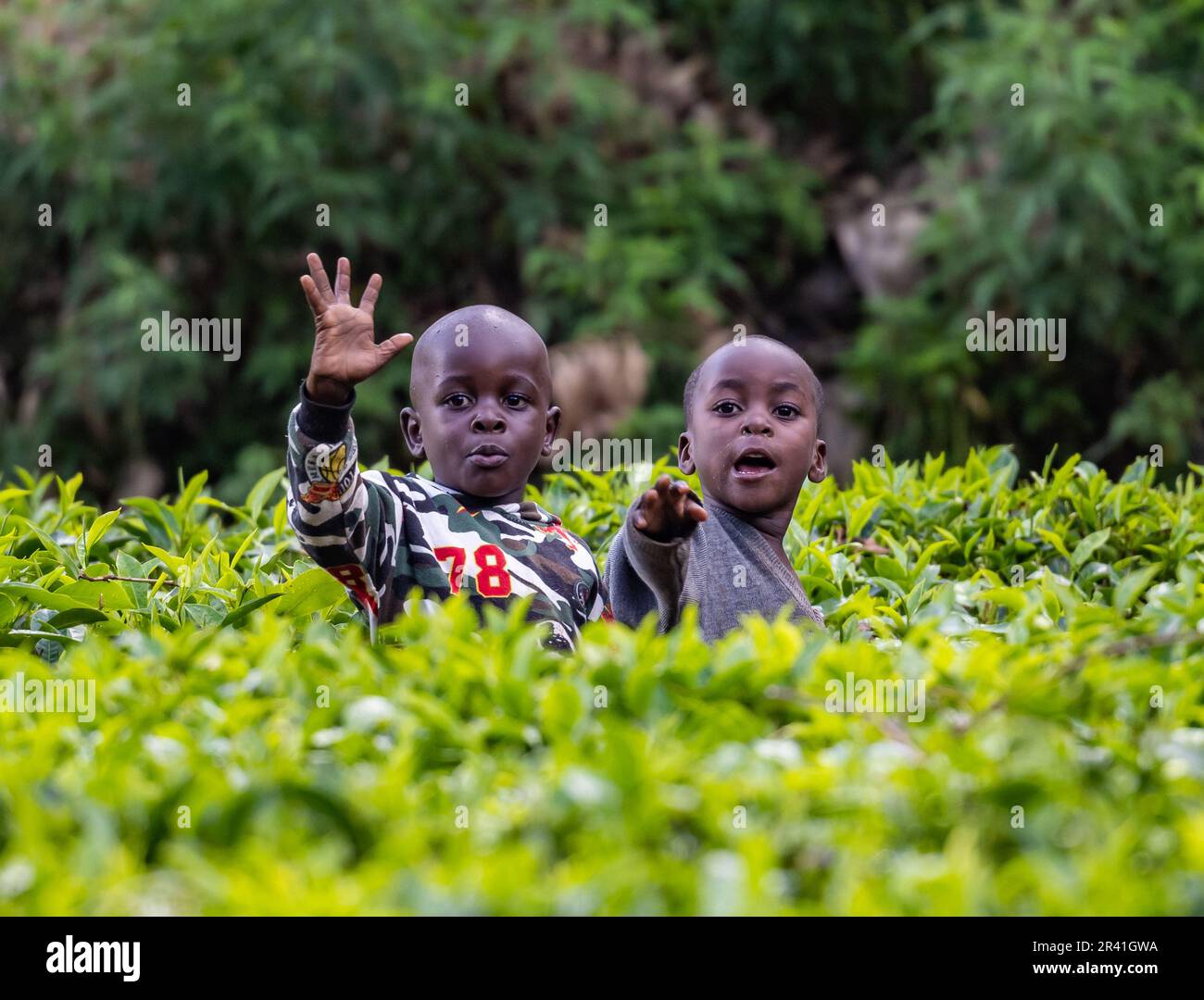 Zwei fröhliche kleine Jungs winken Touristen zu. Kenia, Afrika. Stockfoto