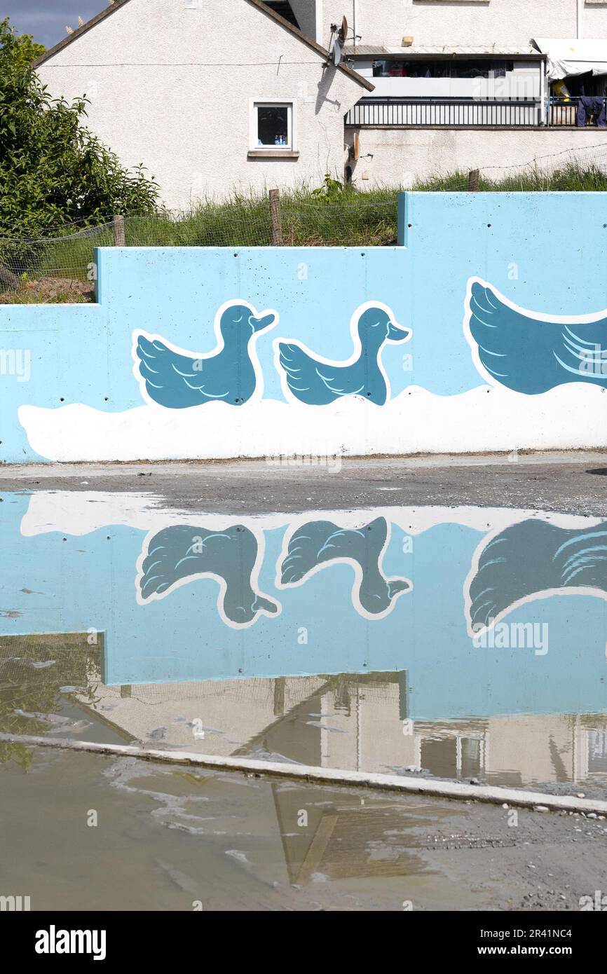 Reflexion in einer grossen Pfütze eines nahegelegenen Wandbildes von schwimmenden Enten. Stockfoto