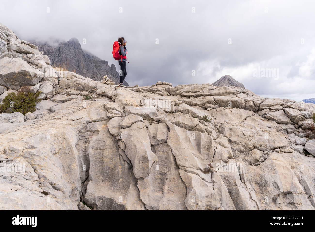 Wanderer auf dem Wappen von Puig de Ses Vinyes Stockfoto