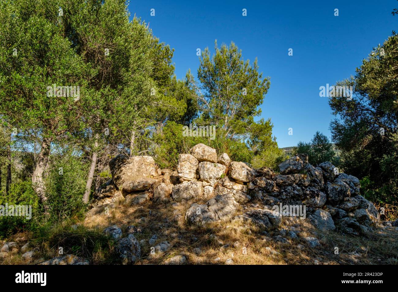 Talaiot de Serral de Ses Abelles, - Talaiot de Son serralta -, Puigpunyent, Mallorca, Balearen, Spanien. Stockfoto