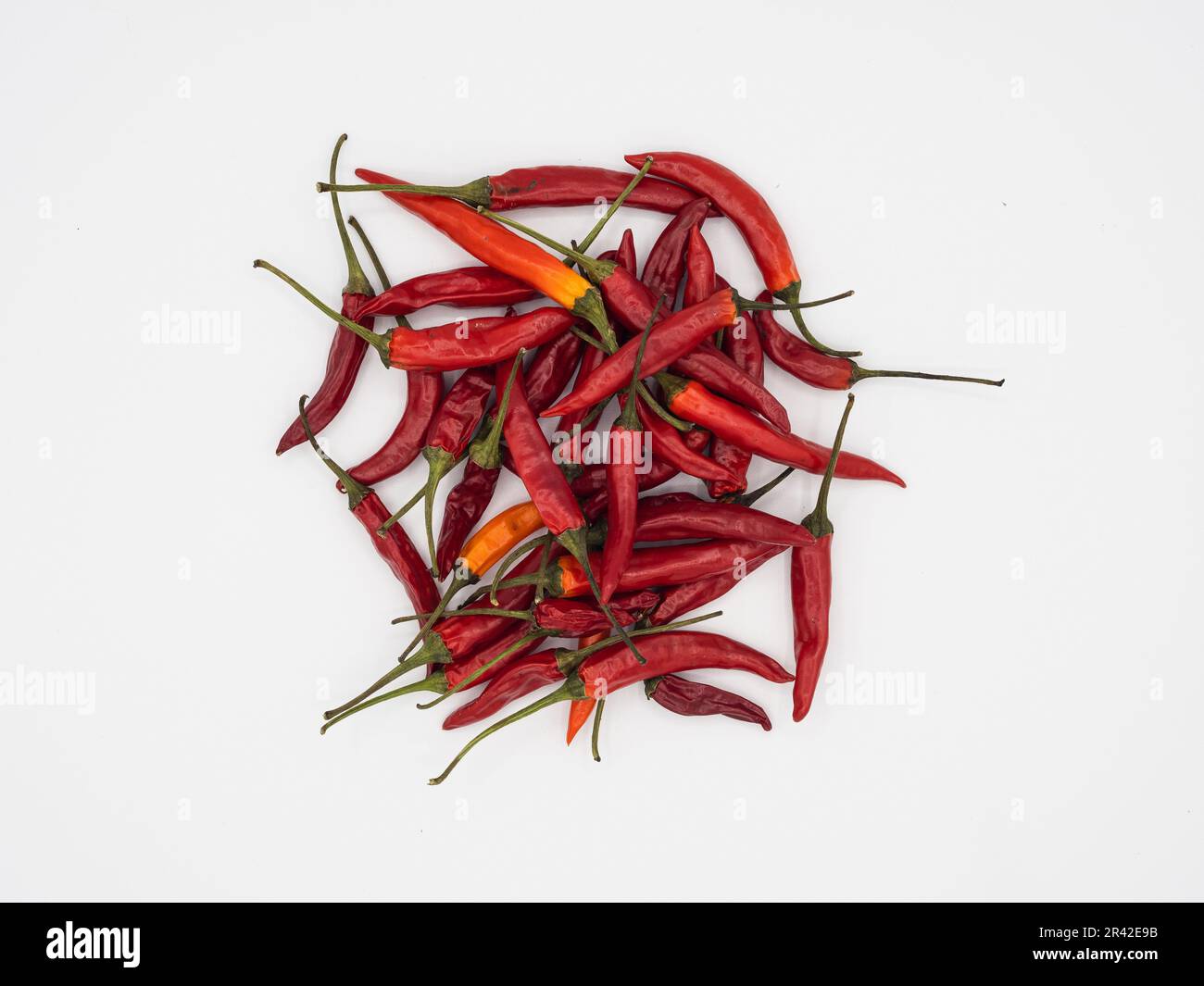 Ein Blick von oben auf Chili-Früchte in Rot und Orange auf einem weißen Hintergrund. Stockfoto