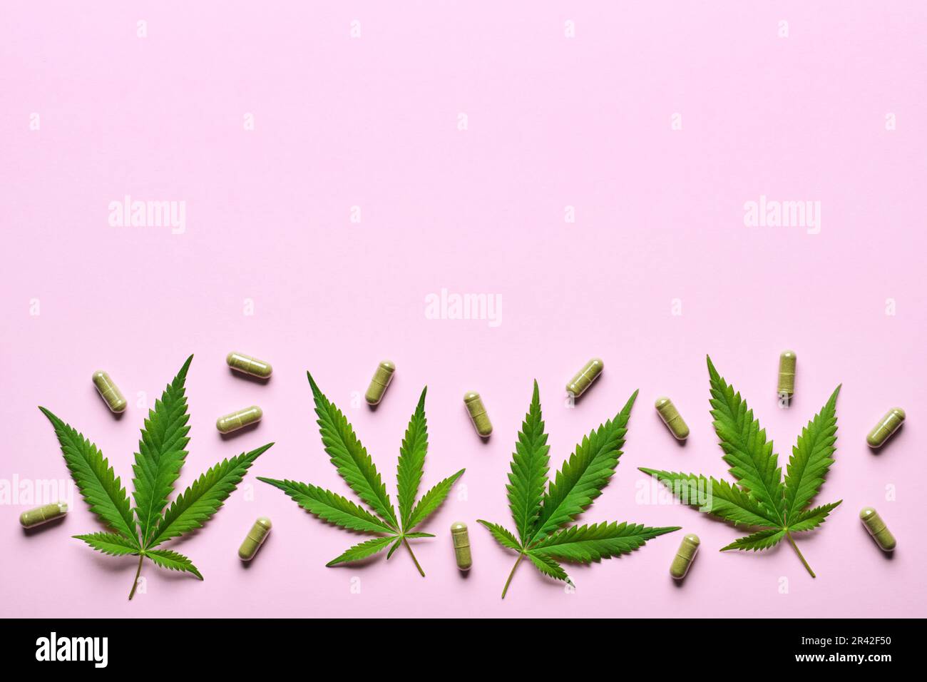 Cannabisextrakt-Kapseln und Hanfblätter mit rosafarbenem Hintergrund. Beruhigungs-, Anti-Stress- und Schlafkonzept Stockfoto