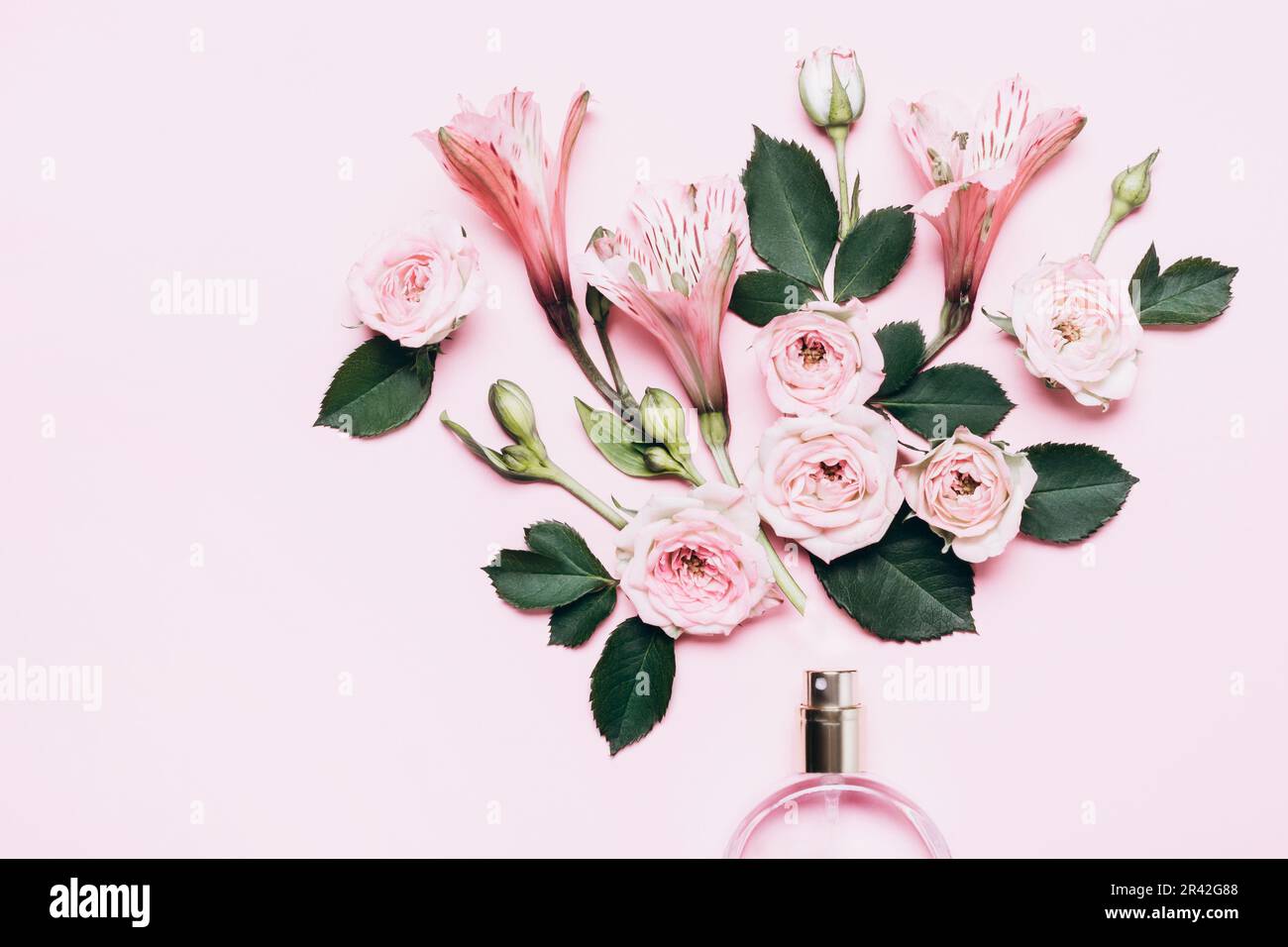 Blumenarrangements mit Parfümflasche und pinkfarbenen Blumen. Minimales Schönheitskonzept Stockfoto