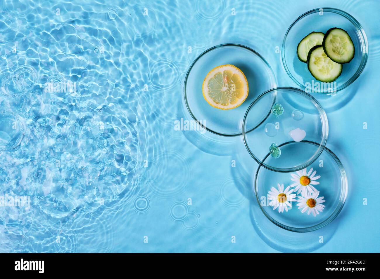 Abstraktes Kosmetiklabor mit Petrischale und kosmetischen Produkten und Inhaltsstoffen. Natürlicher Hautpflegewasserhintergrund Stockfoto