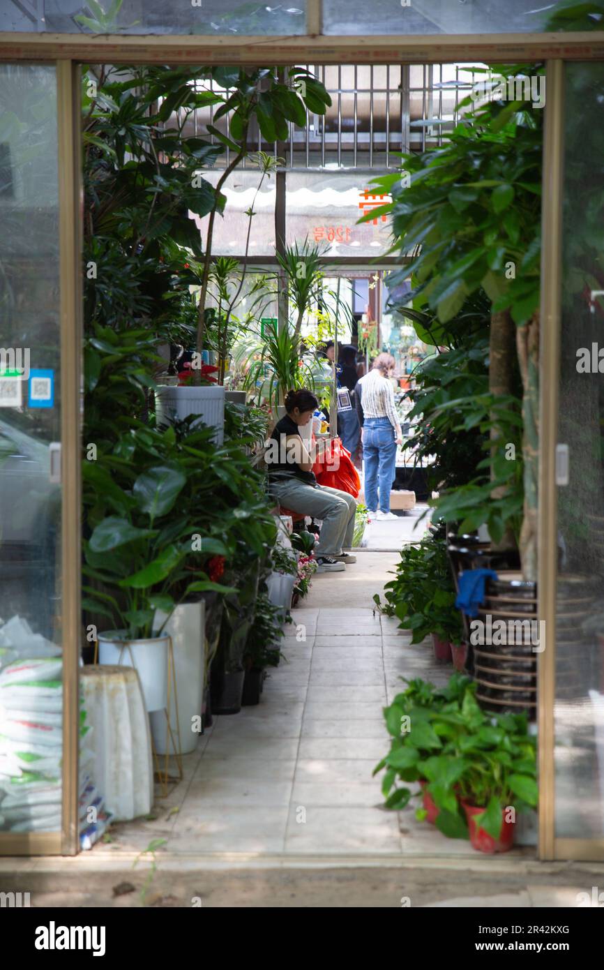 Pishi Street, Gusu District, Suzhou, Jiangsu Stockfoto