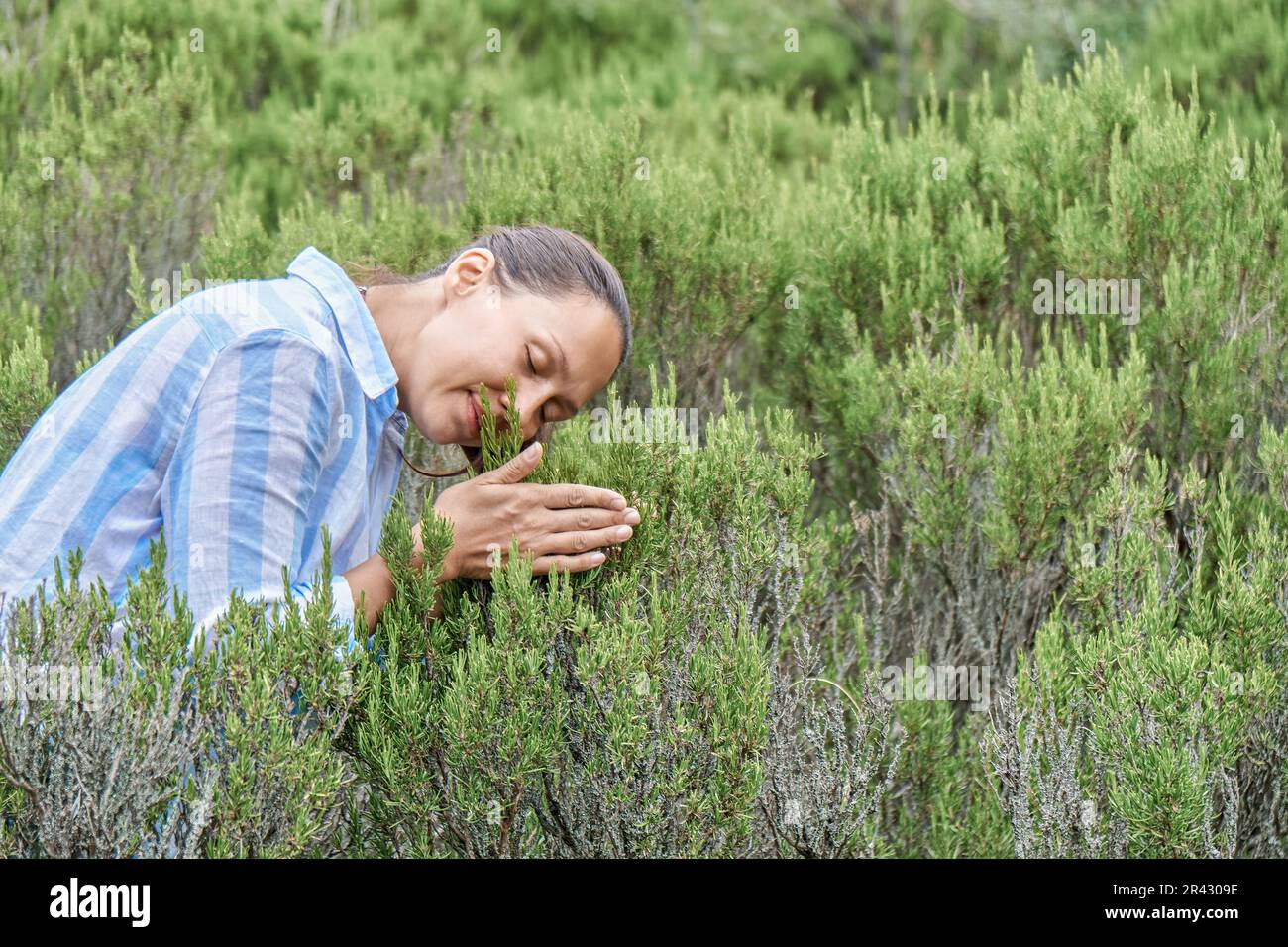 Braunhaarige Frau besucht Rosmarinfeld und genießt den Geruch von Pflanzen. Lady Tourist erkundet gern die Wahrzeichen des malerischen Seebads Stockfoto