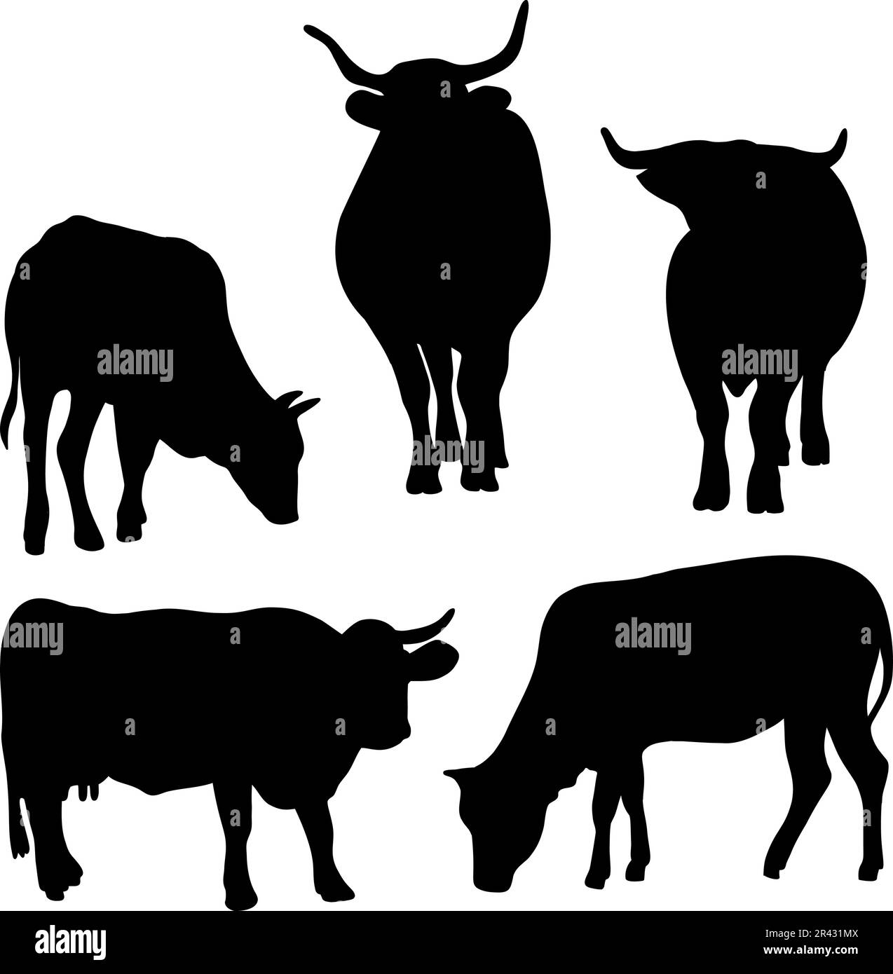 Kollektionshalhouetten des Rindes. Nutztiere - Stier, Kuh und Ochse. Vektordarstellung. Isolierte Hand zeichnet Tiere auf weißem Hintergrund Stock Vektor