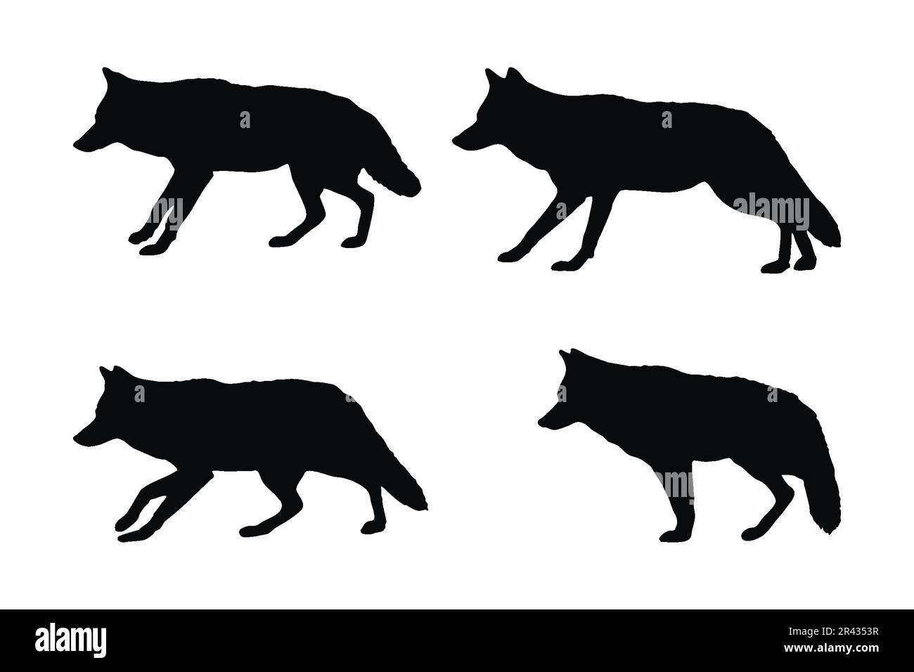 Coyote-Silhouettenvektorsammlung auf weißem Hintergrund. „Wild Coyotes Standing“-Design. Kojote im Stehen und Sitzen. Coyote Wolf schwarz Stock Vektor