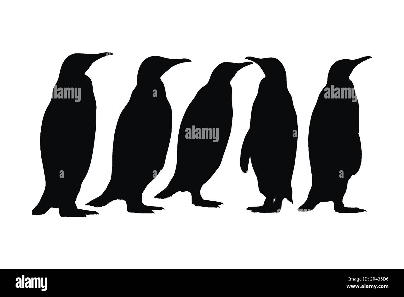Pinguin steht in verschiedenen Positionen, Silhouette setzt Vektor. Silhouette-Kollektion mit Pinguinen für Erwachsene auf weißem Hintergrund. Arktis-Vogel und Kreatur-Fu Stock Vektor