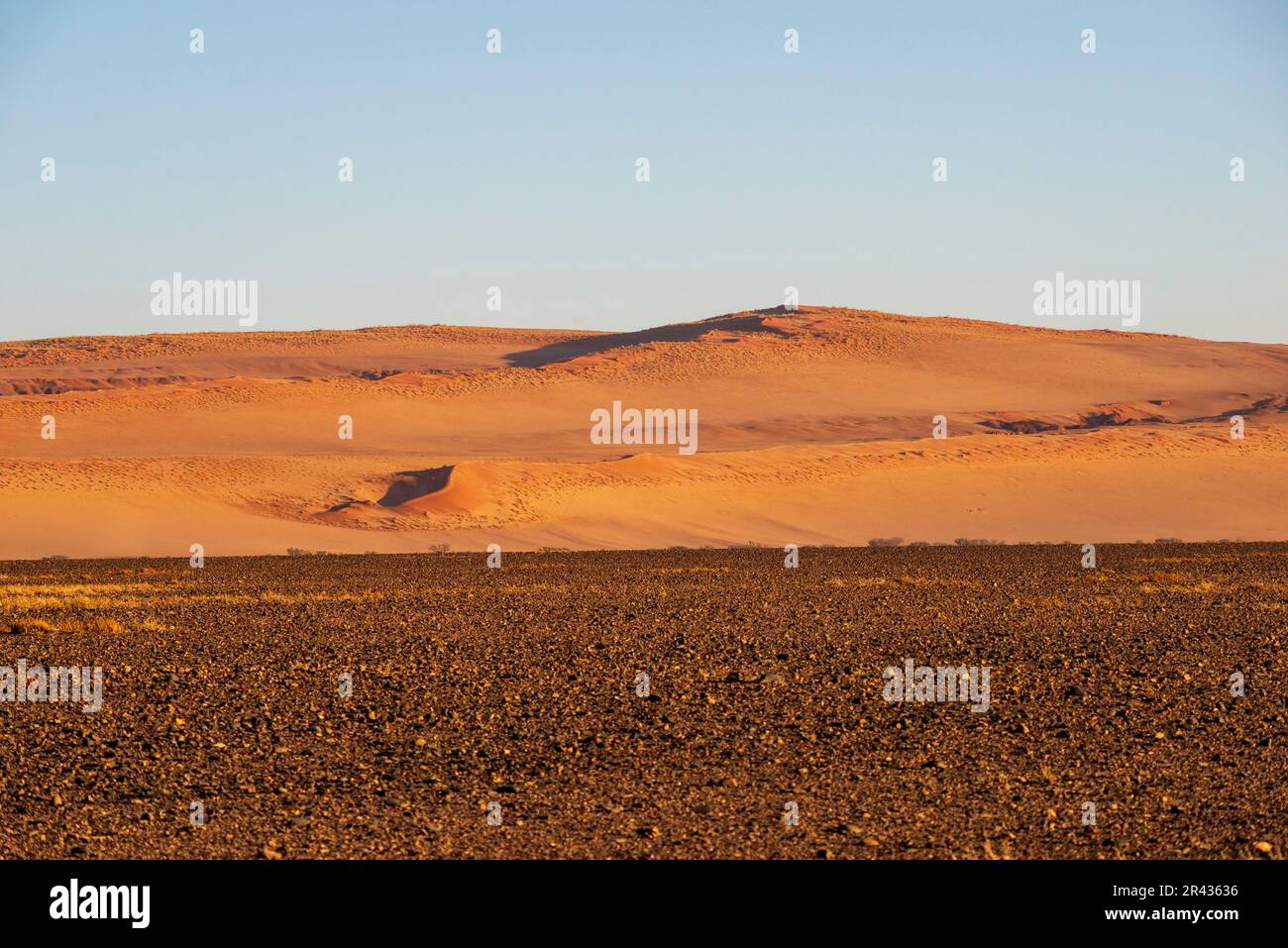 Rote Dünen mit Steinebene im Vordergrund in Namibia Stockfoto