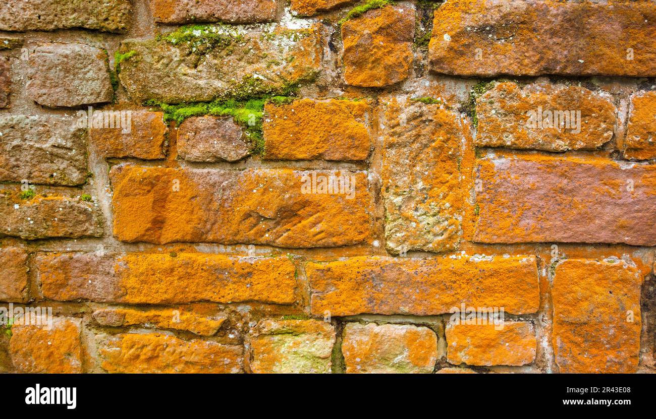 Bunte Sandsteinwand teilweise überwuchert mit grünem Moos und orangefarbenen Flechten Stockfoto