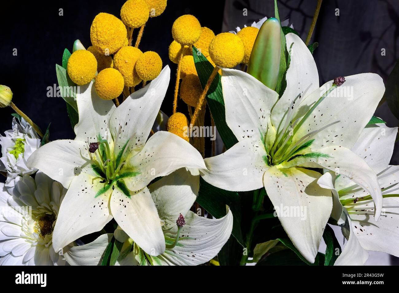 Künstliche weiße Lilien (Lilium candidum), Deutschland Stockfoto