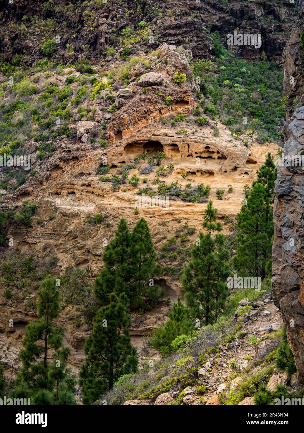 Der Wanderweg an den Klippen der Barranco Seco-Schlucht, wo die raue Landschaft der Höhlen von Montaña Carrasco ihre geologischen Wunder enthüllt, die Entdecker begeistern werden Stockfoto