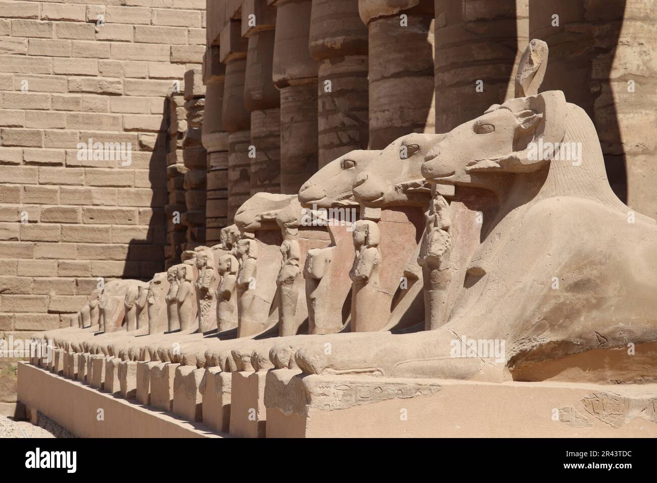 Avenue of Sphinxes (Statuen mit Rammbock) im Tempel von Karnak, Luxor, Ägypten Stockfoto