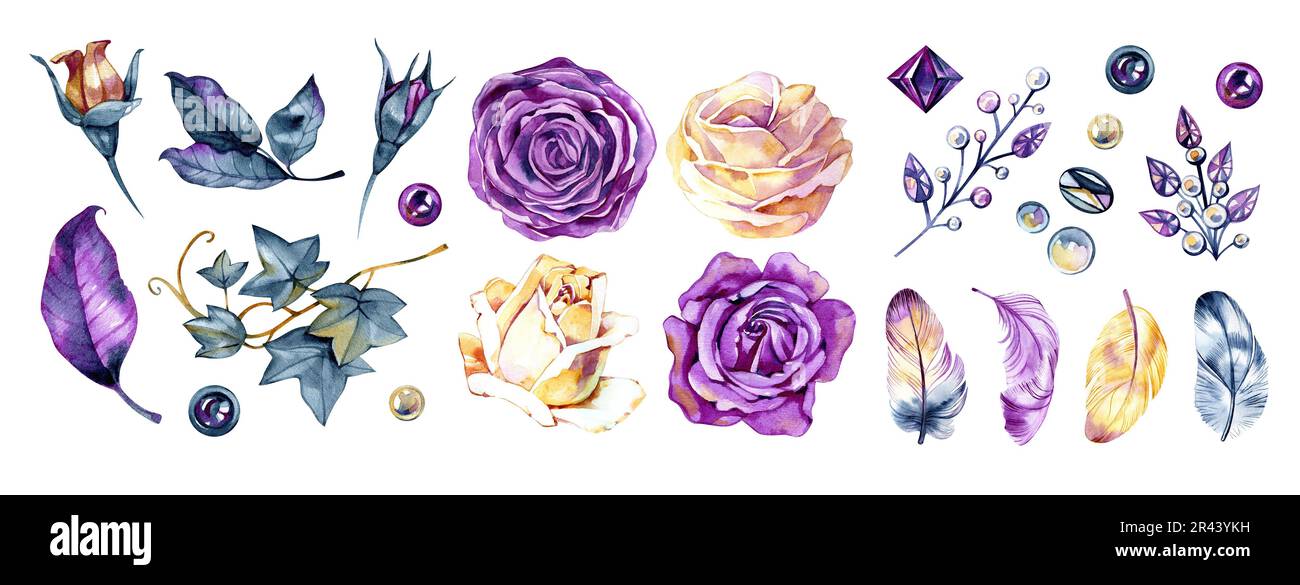 Set mit Aquarell- und Blumenmuster. Violette, weiße Rosen, Federn und Blätter, isoliert auf weißem Hintergrund. Klassische botanische Illustration. Dunkle stimmungsvolle Farbe Stockfoto