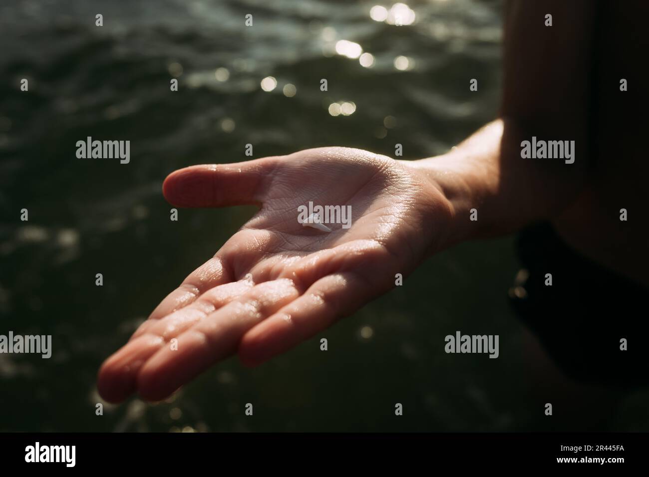 Haifischzahn in der Hand über Wasser beim Schwimmen im Sommer am Abend Stockfoto