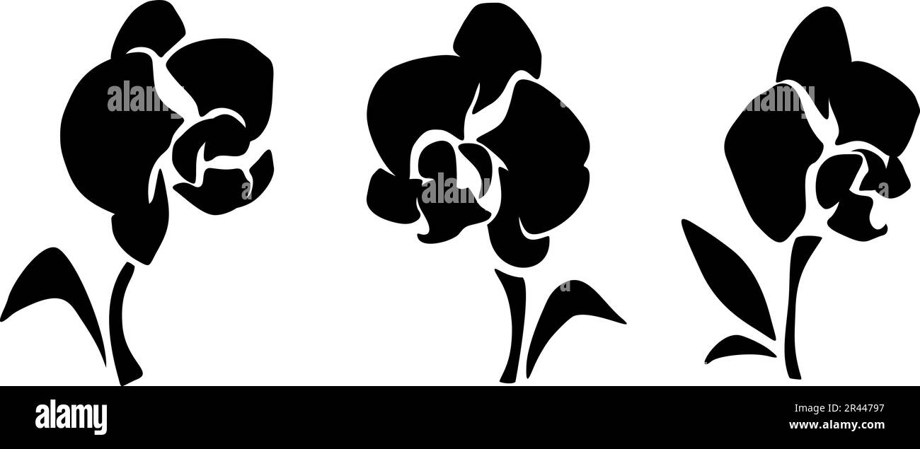 Orchideenblumen. Schwarze Silhouetten von Orchideenblüten isoliert auf weißem Hintergrund. Satz von Vektorabbildungen Stock Vektor