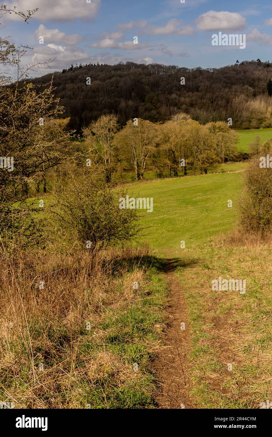 Field, in der Nähe von Cropton, North yorkshire, großbritannien Stockfoto