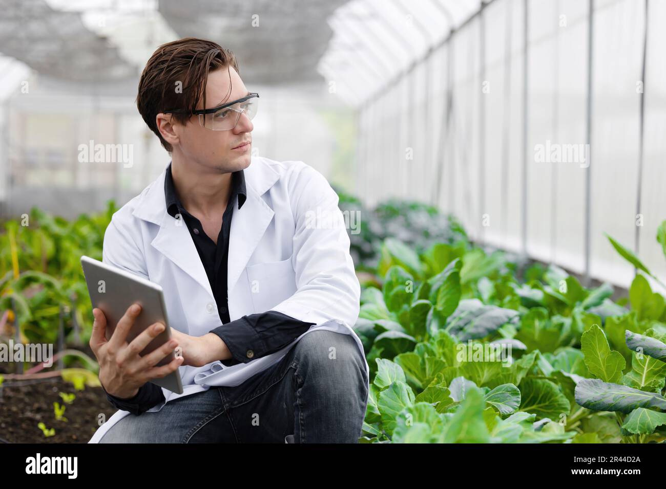 Moderner Bauer, der ein Tablet-Computer zur Überwachung der Entwicklung eines Konzepts für die Wachstumsrate von Pflanzen verwendet Stockfoto