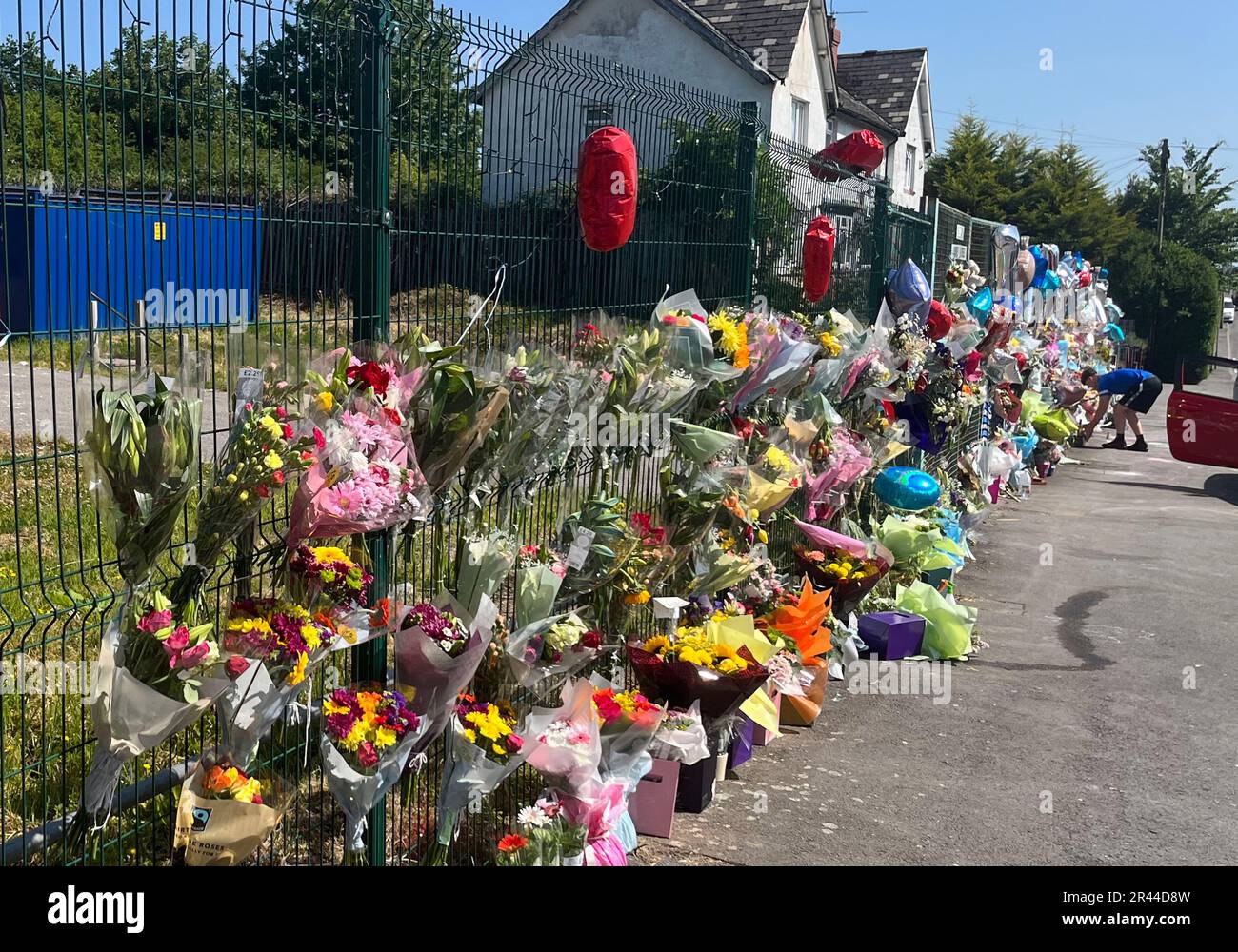 Blumengewähr hinterlassen Kyrees Sullivan und Harvey Evans auf der ...