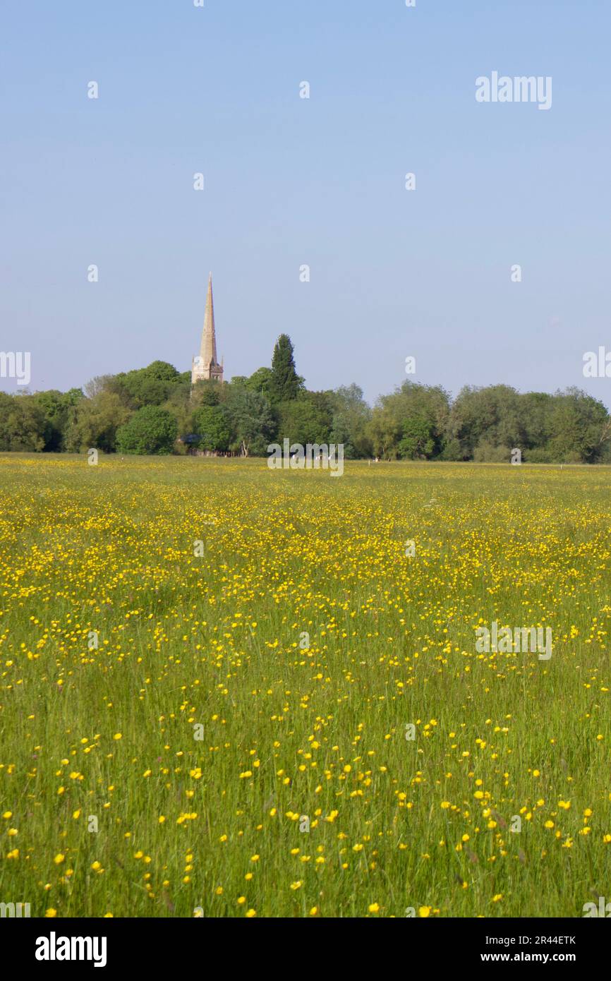 Großbritannien, Cambridgeshire - Hemmingford Meadow Stockfoto