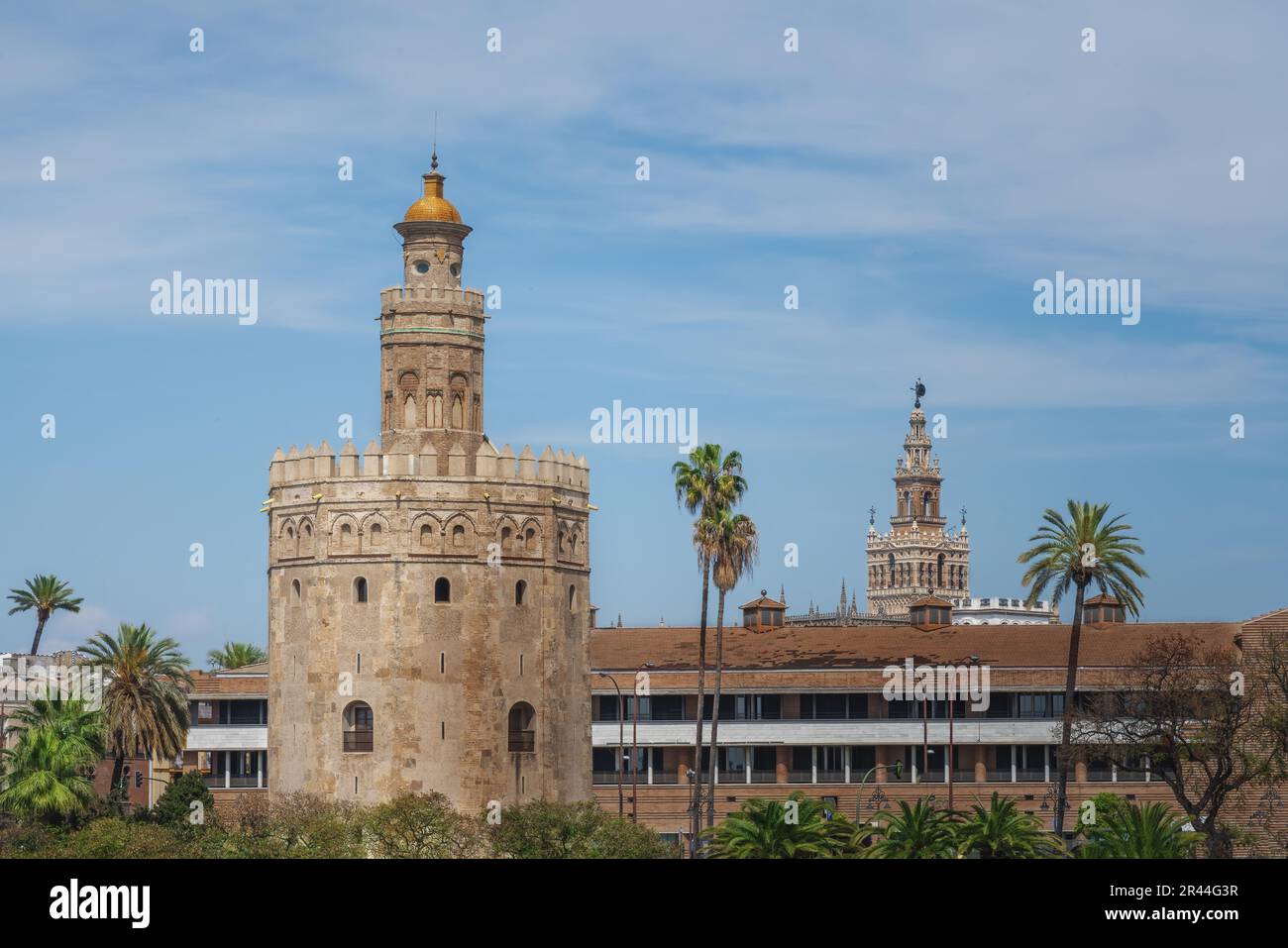 Torre del Oro (Goldener Turm) und Sevilla Cathedral Tower - Sevilla, Andalusien, Spanien Stockfoto