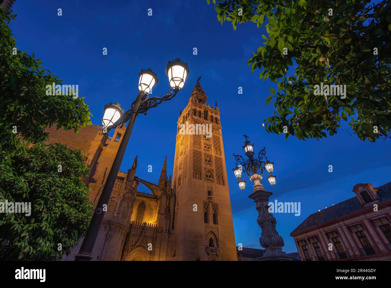 La Giralda bei Nacht - Sevilla Cathedral Tower - Sevilla, Andalusien, Spanien Stockfoto